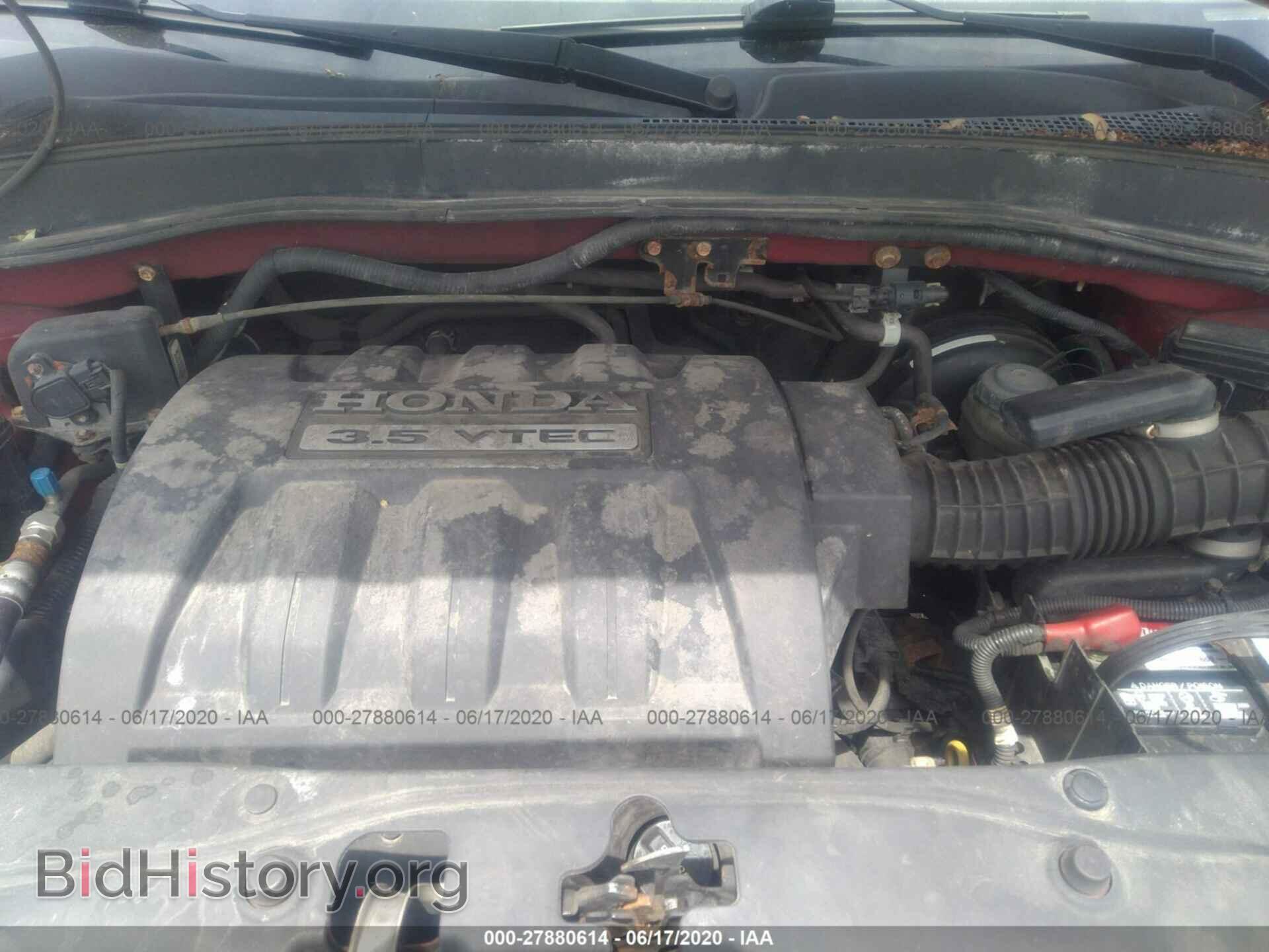2005 HONDA PILOT - VIN: 5FNYF18535B004799 - Фото 10