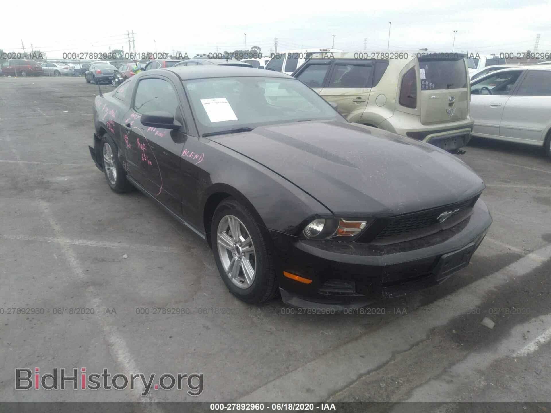 Photo 1ZVBP8AM5B5114583 - FORD MUSTANG 2011