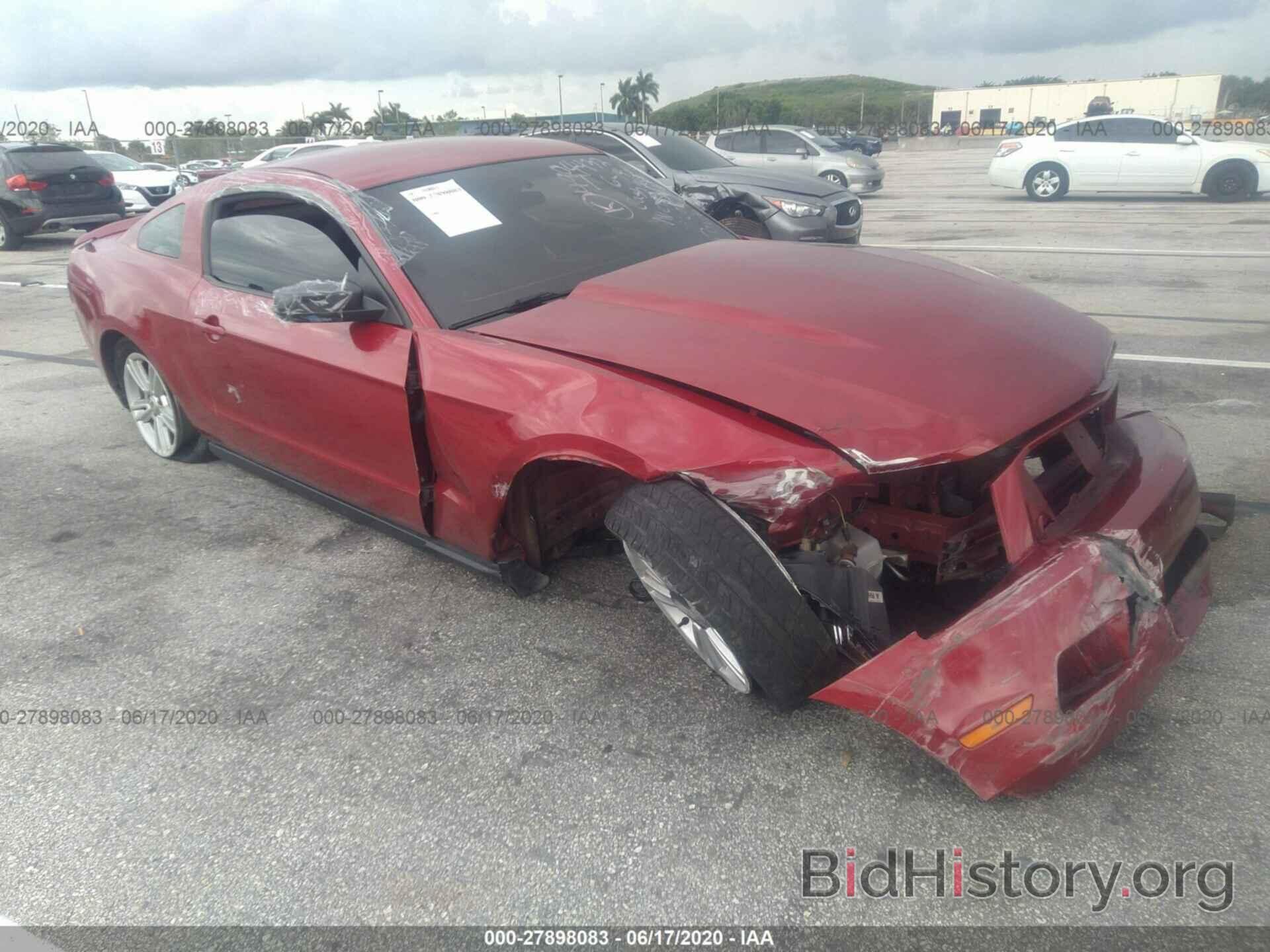 Photo 1ZVBP8AN9A5154432 - FORD MUSTANG 2010
