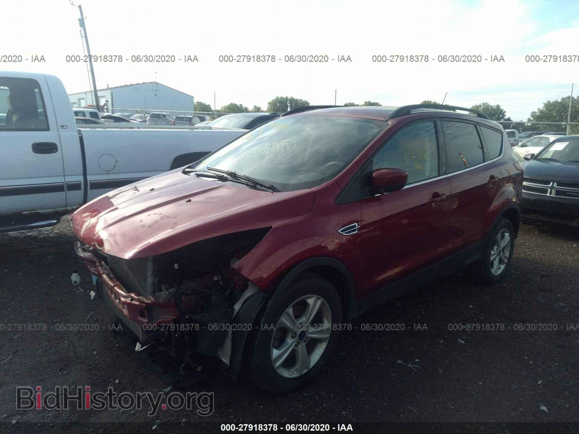 2014 FORD ESCAPE - VIN: 1FMCU0GX5EUD36291 - Фото 2