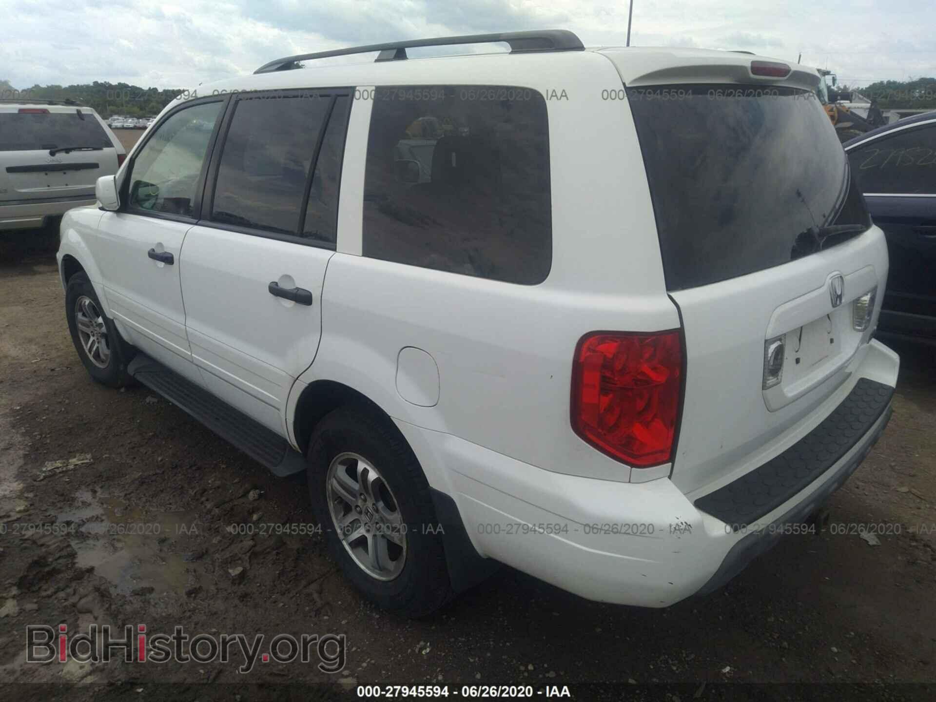 2005 HONDA PILOT - VIN: 5FNYF18635B008201 - Фото 3