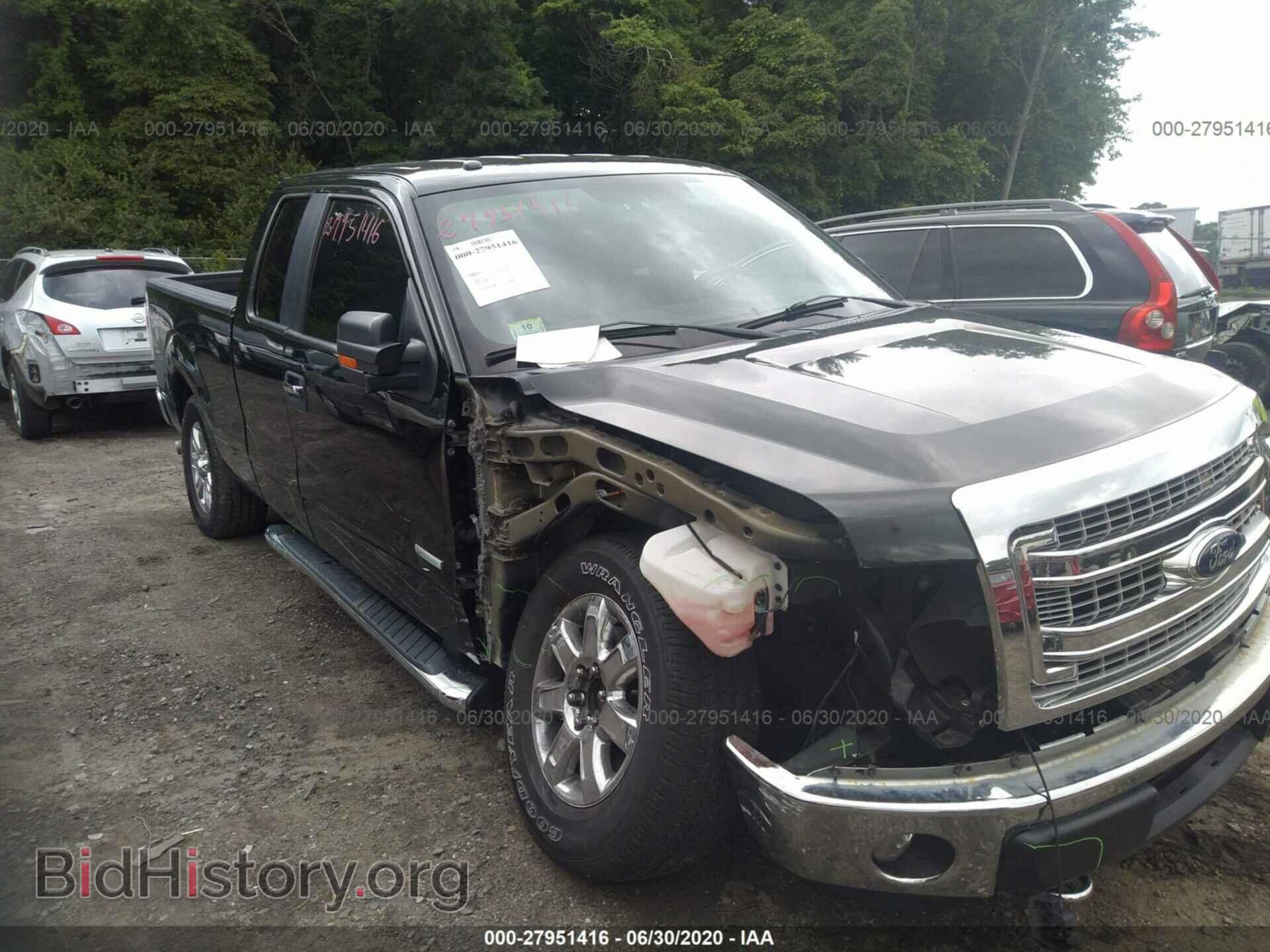 Фотография 1FTFX1ET8DFD87379 - FORD F150 2013