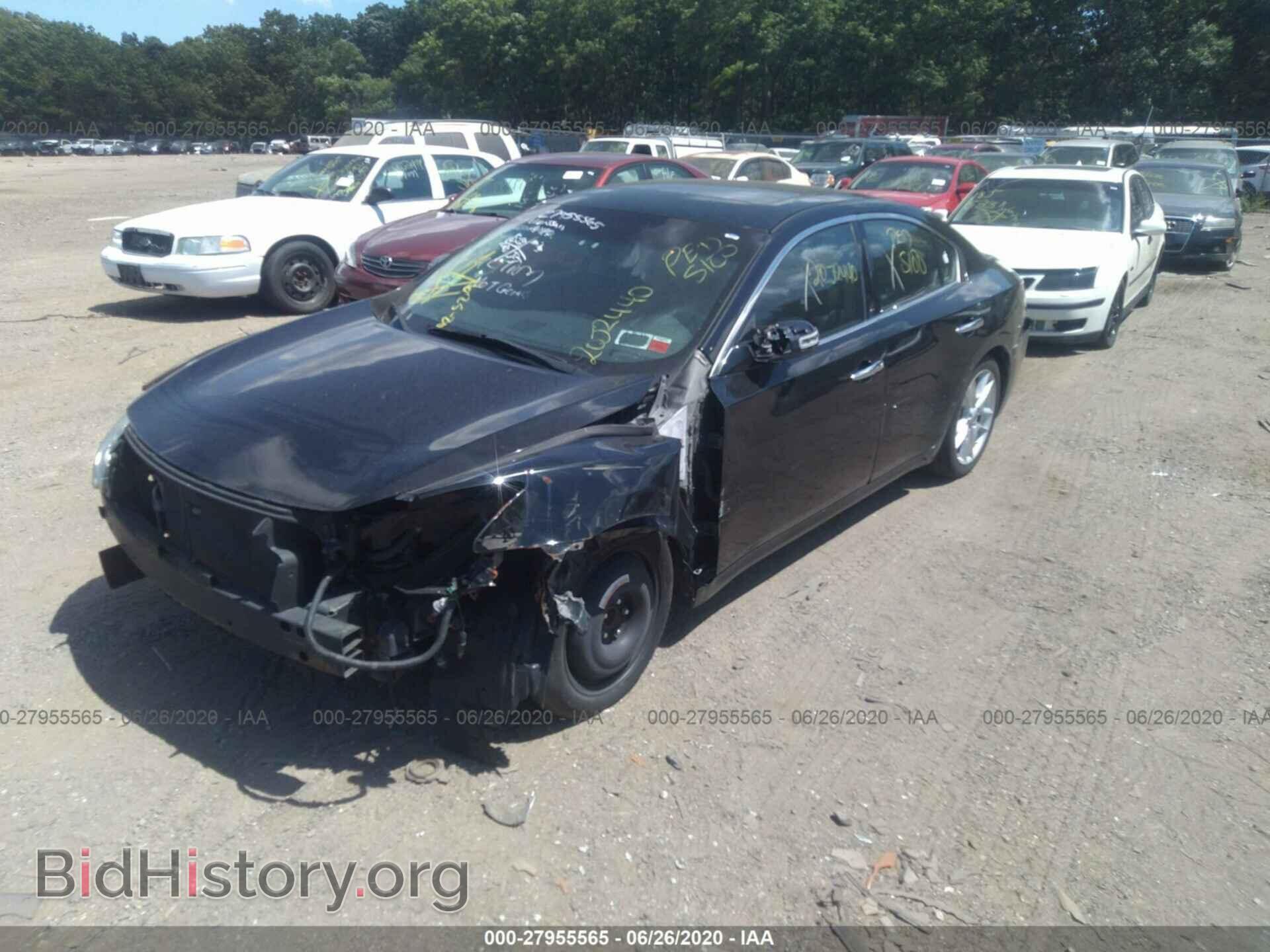 2011 NISSAN MAXIMA - VIN: 1N4AA5AP6BC852581 - Фото 2