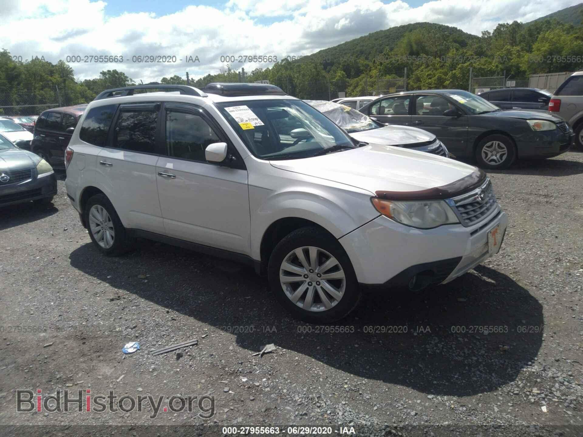 Photo JF2SHBDC7BH717826 - SUBARU FORESTER 2011