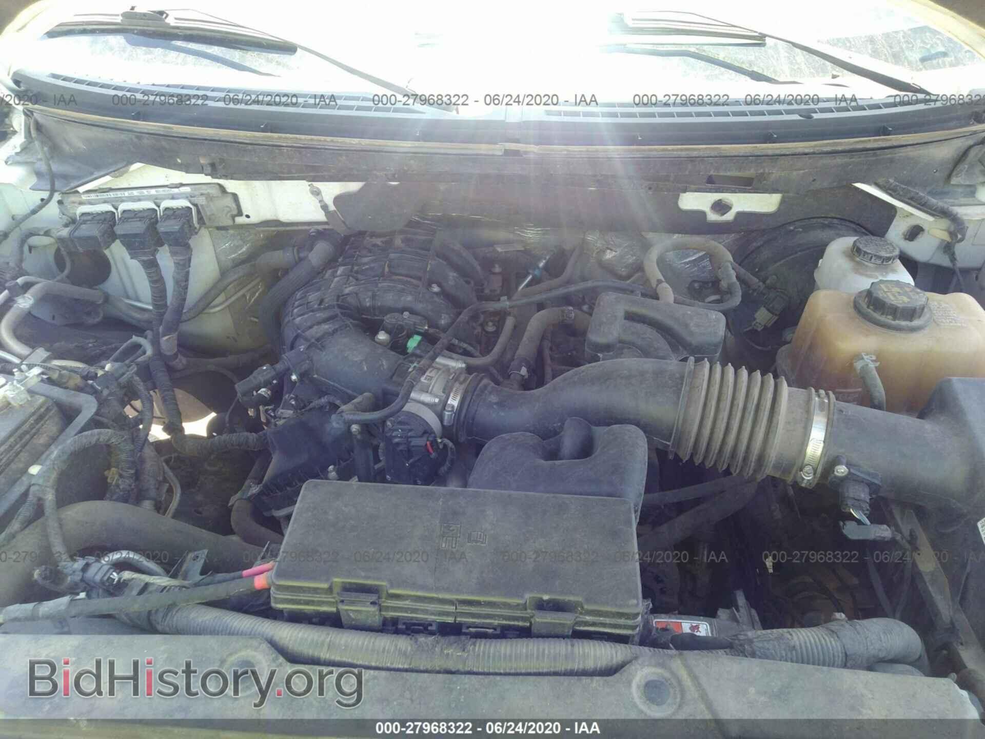 2013 FORD F150 - VIN: 1FTMF1CM9DFC05520 - Фото 10