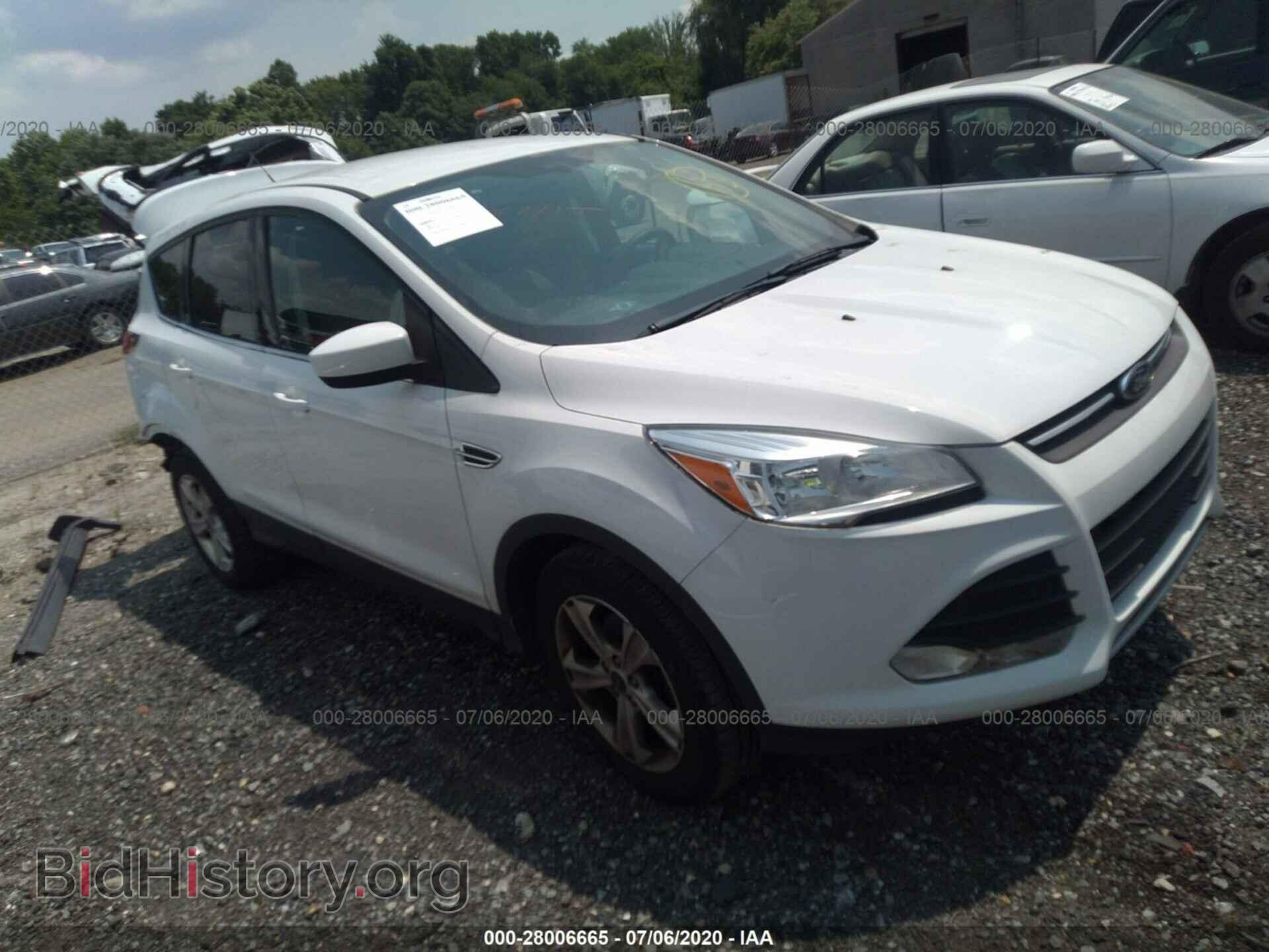 Photo 1FMCU0GX0EUB81360 - FORD ESCAPE 2014
