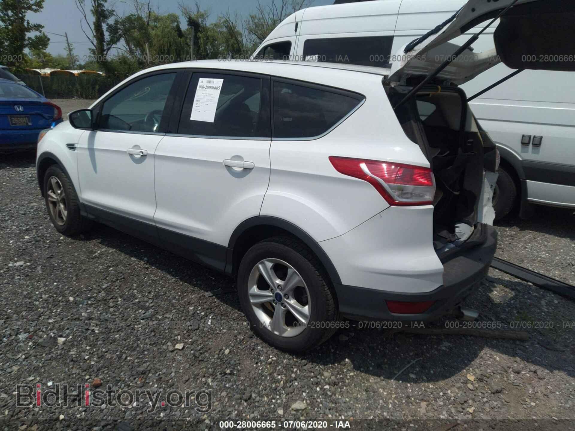 2014 FORD ESCAPE - VIN: 1FMCU0GX0EUB81360 - Фото 3