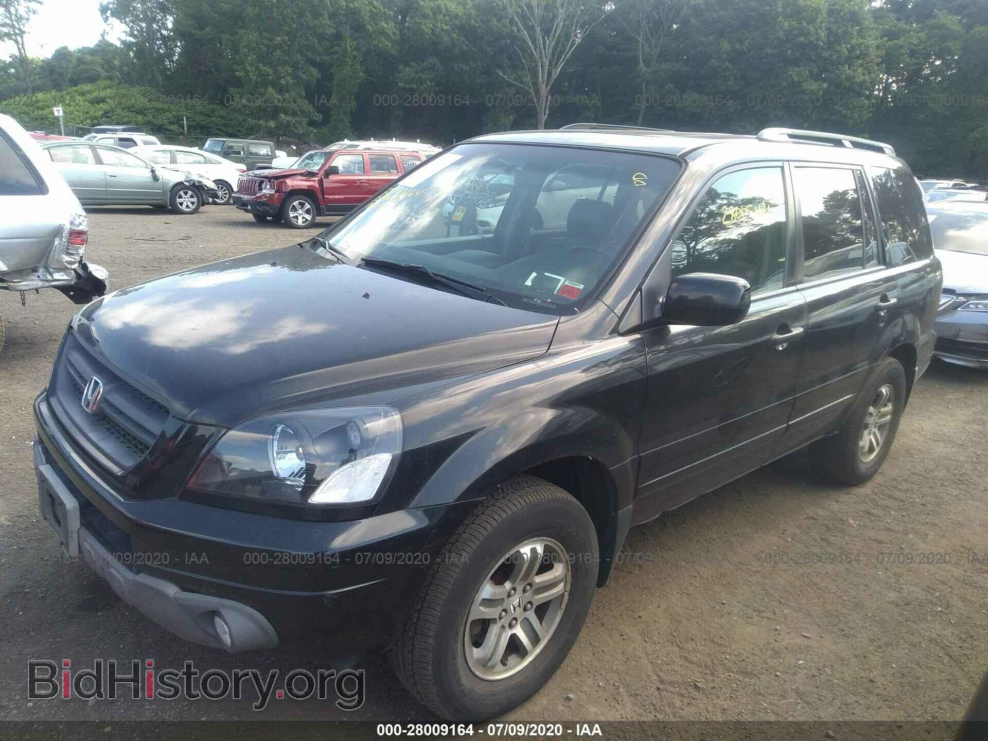 2005 HONDA PILOT - VIN: 2HKYF18555H508871 - Фото 2