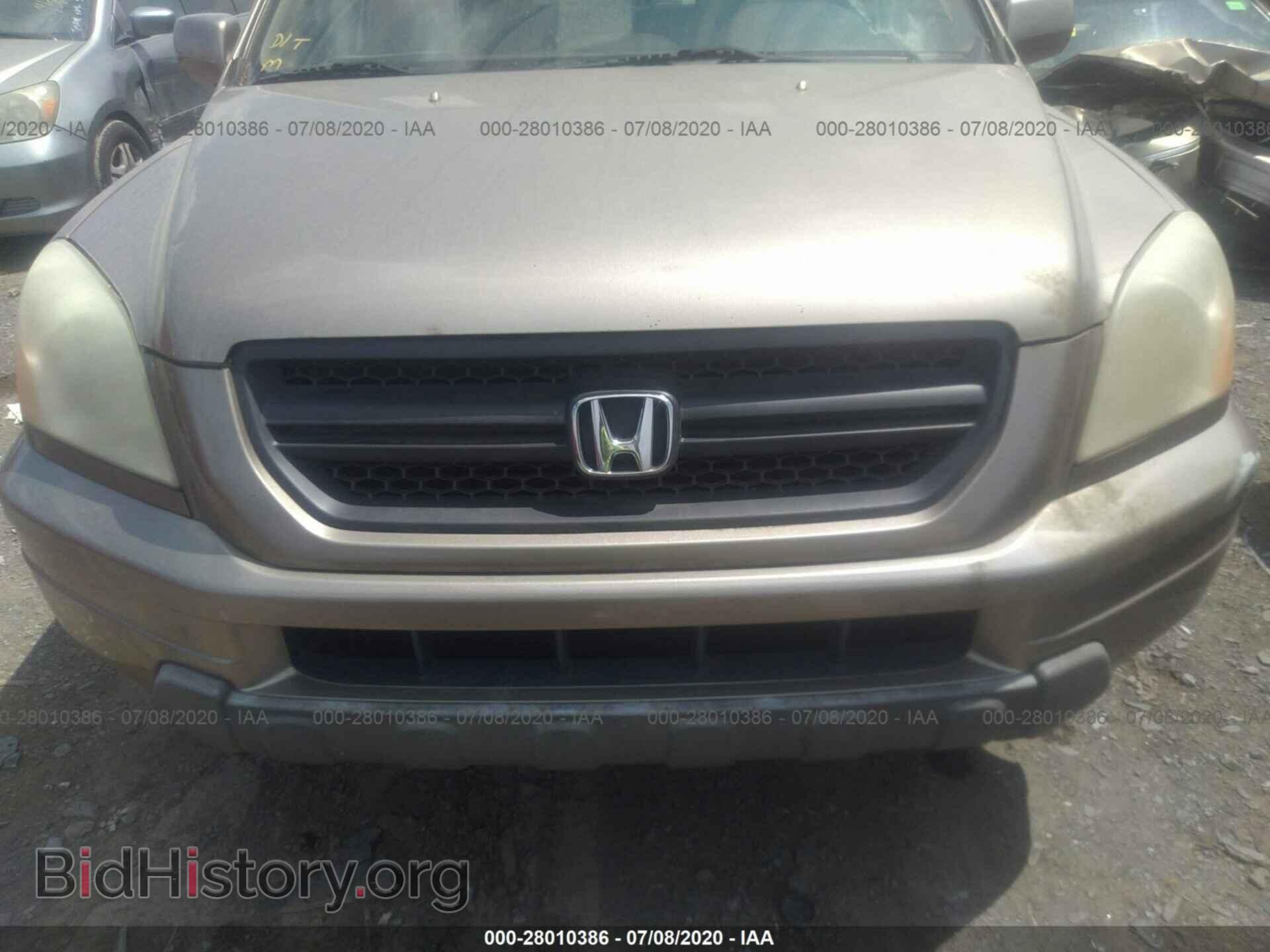 2005 HONDA PILOT - VIN: 5FNYF18575B048241 - Фото 6