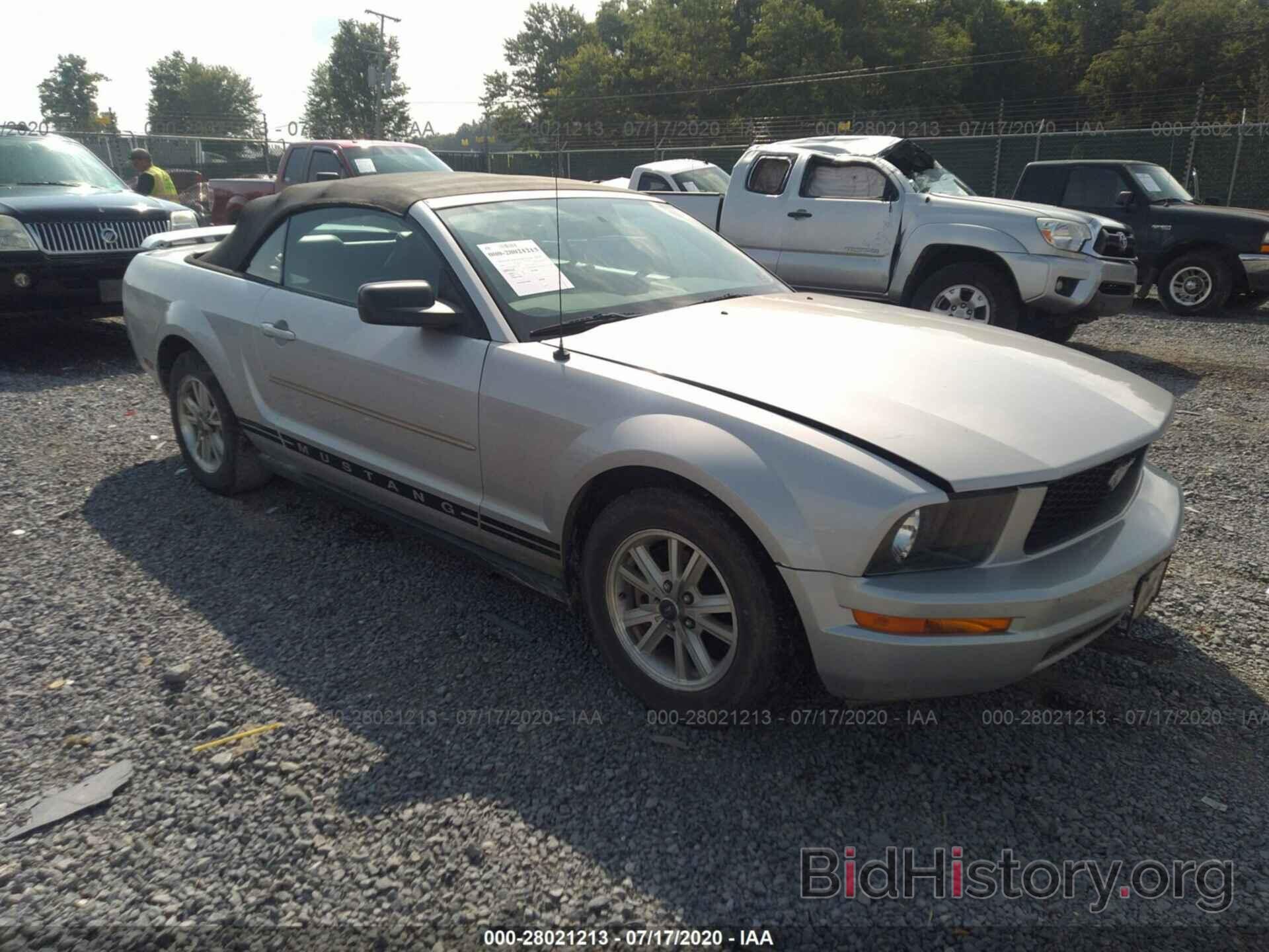 Photo 1ZVFT84N865179855 - FORD MUSTANG 2006