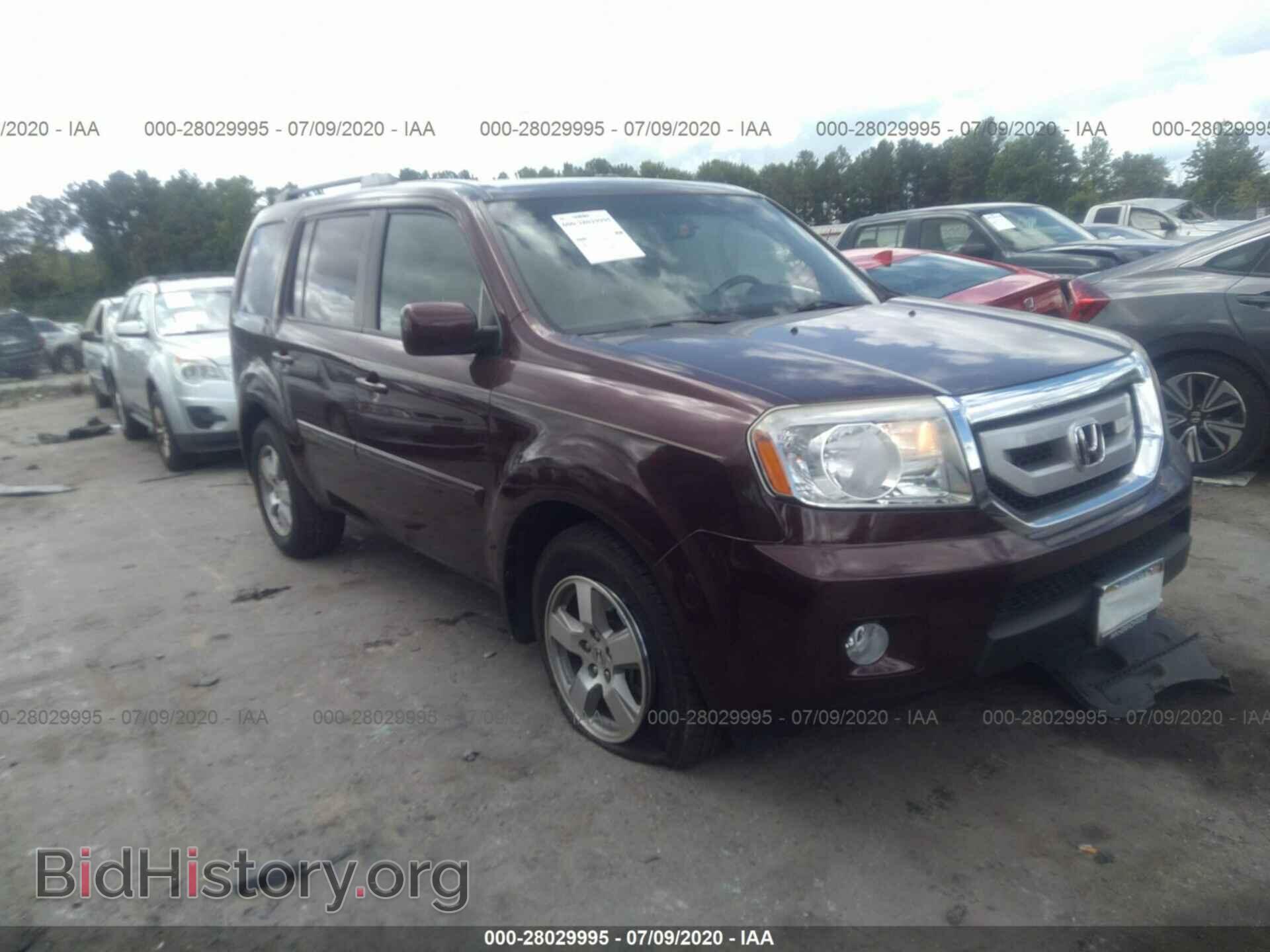 Фотография 5FNYF4H58BB011762 - HONDA PILOT 2011
