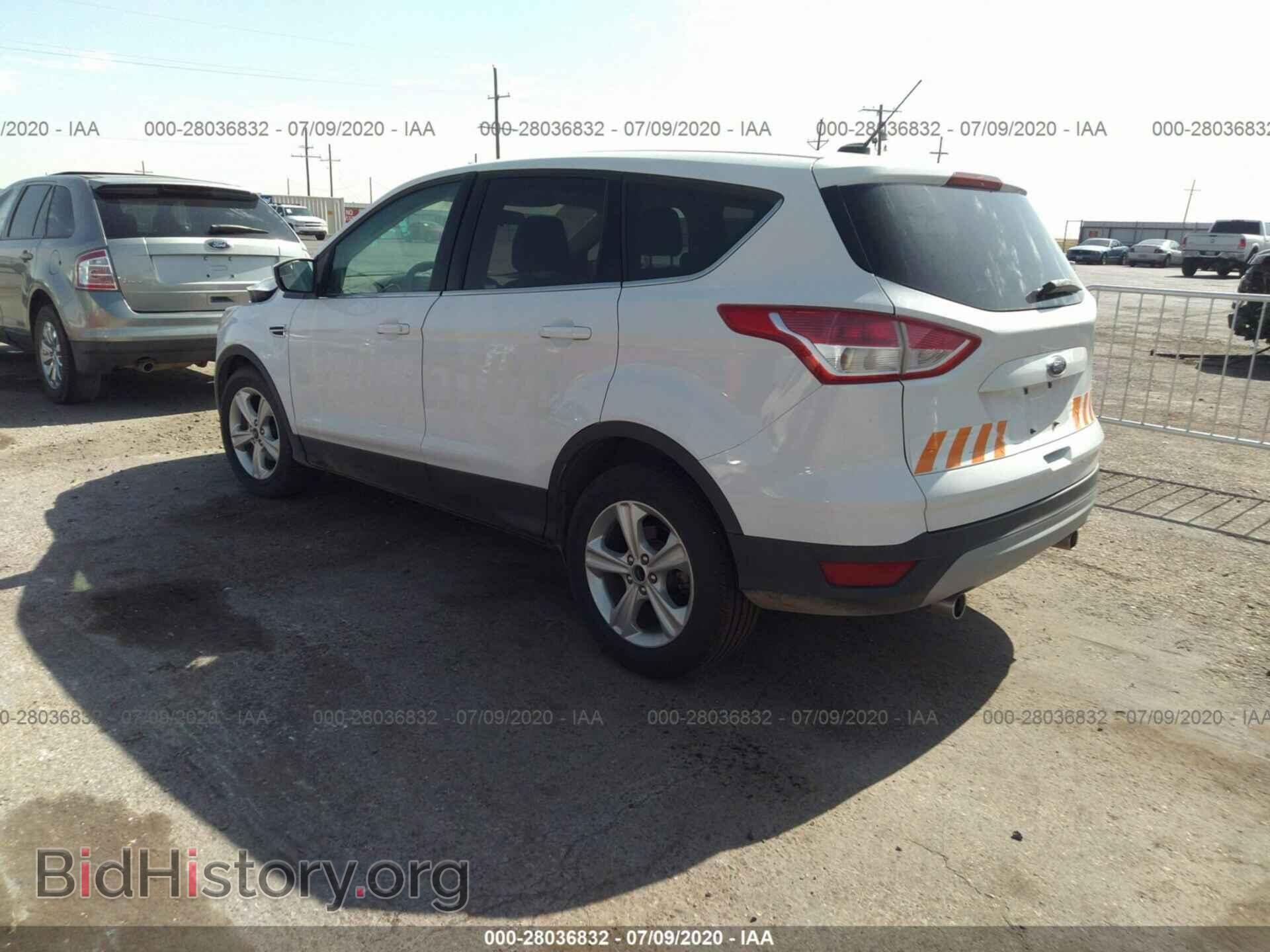 2013 FORD ESCAPE - VIN: 1FMCU0GX0DUC38428 - Фото 3