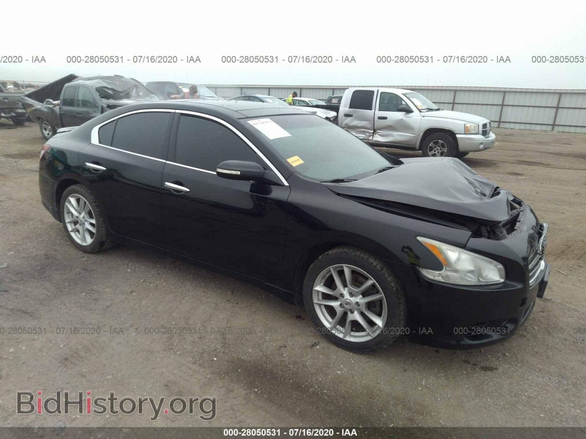Фотография 1N4AA5AP0BC843441 - NISSAN MAXIMA 2011