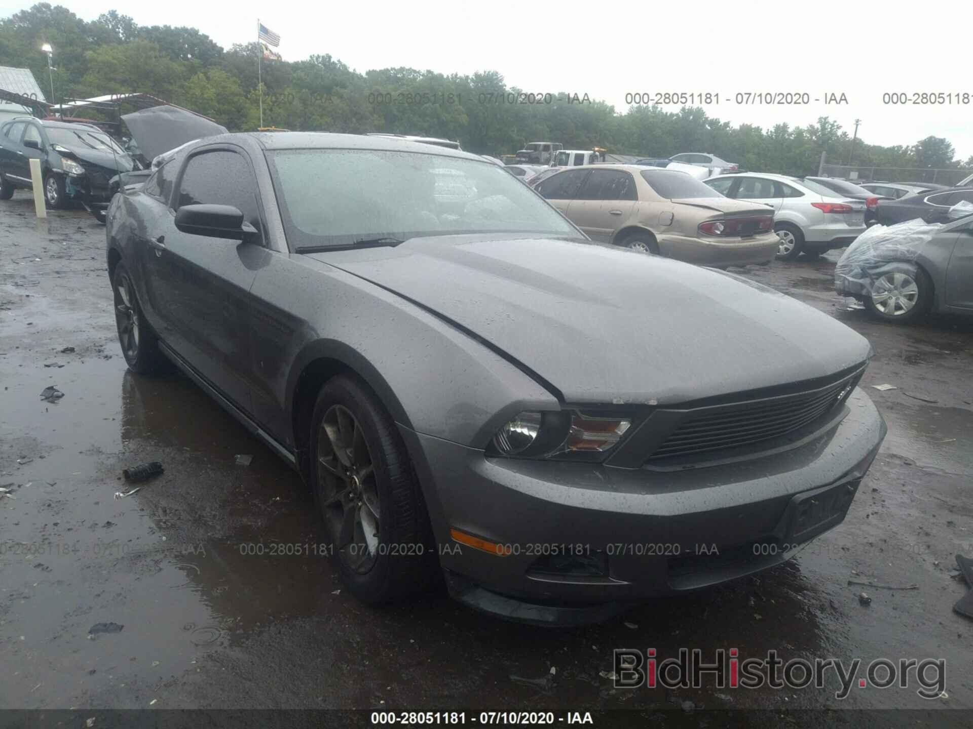 Фотография 1ZVBP8AM9B5168095 - FORD MUSTANG 2011