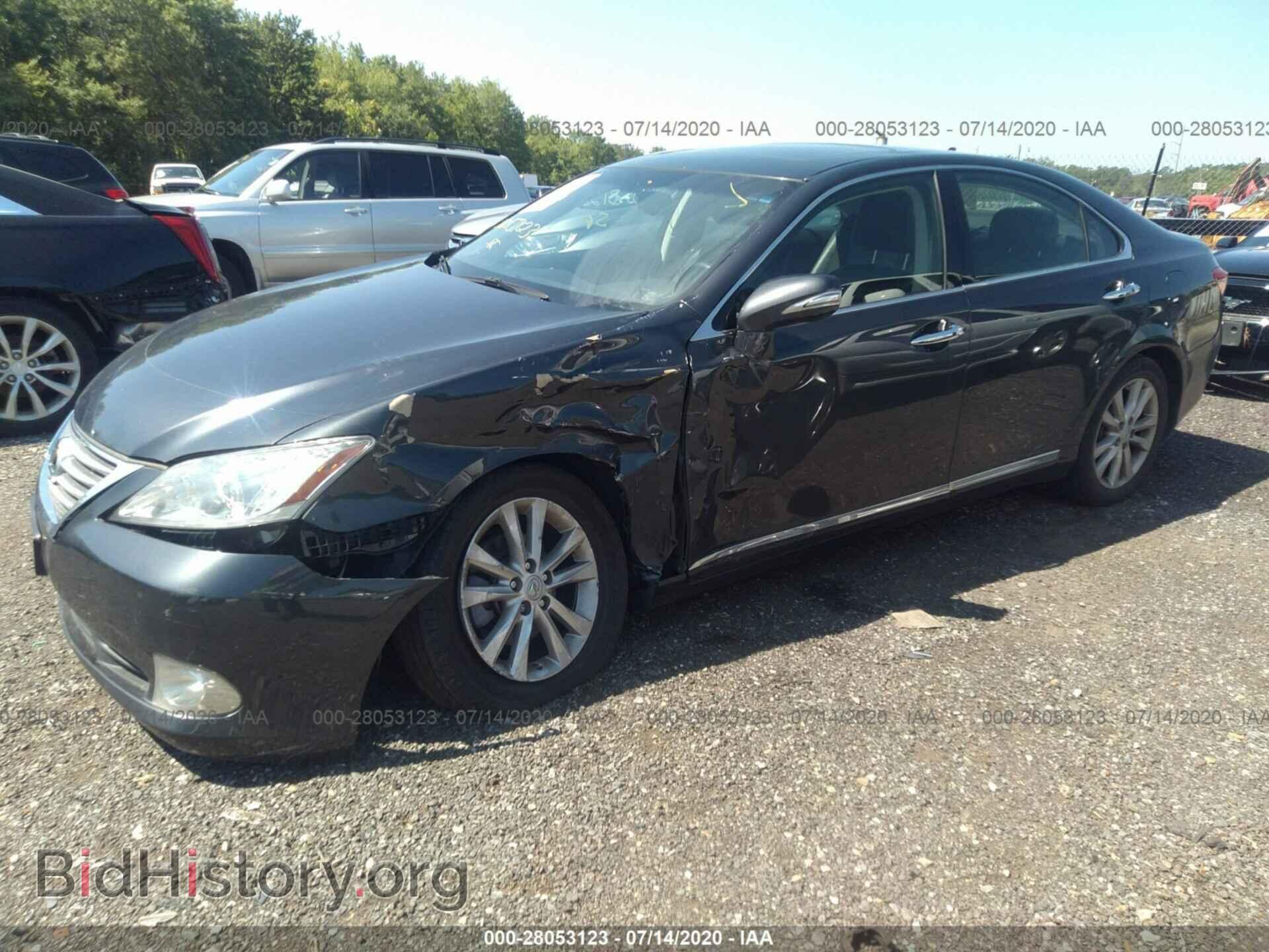 2010 LEXUS ES 350 - VIN: JTHBK1EG4A2381208 - Фото 2
