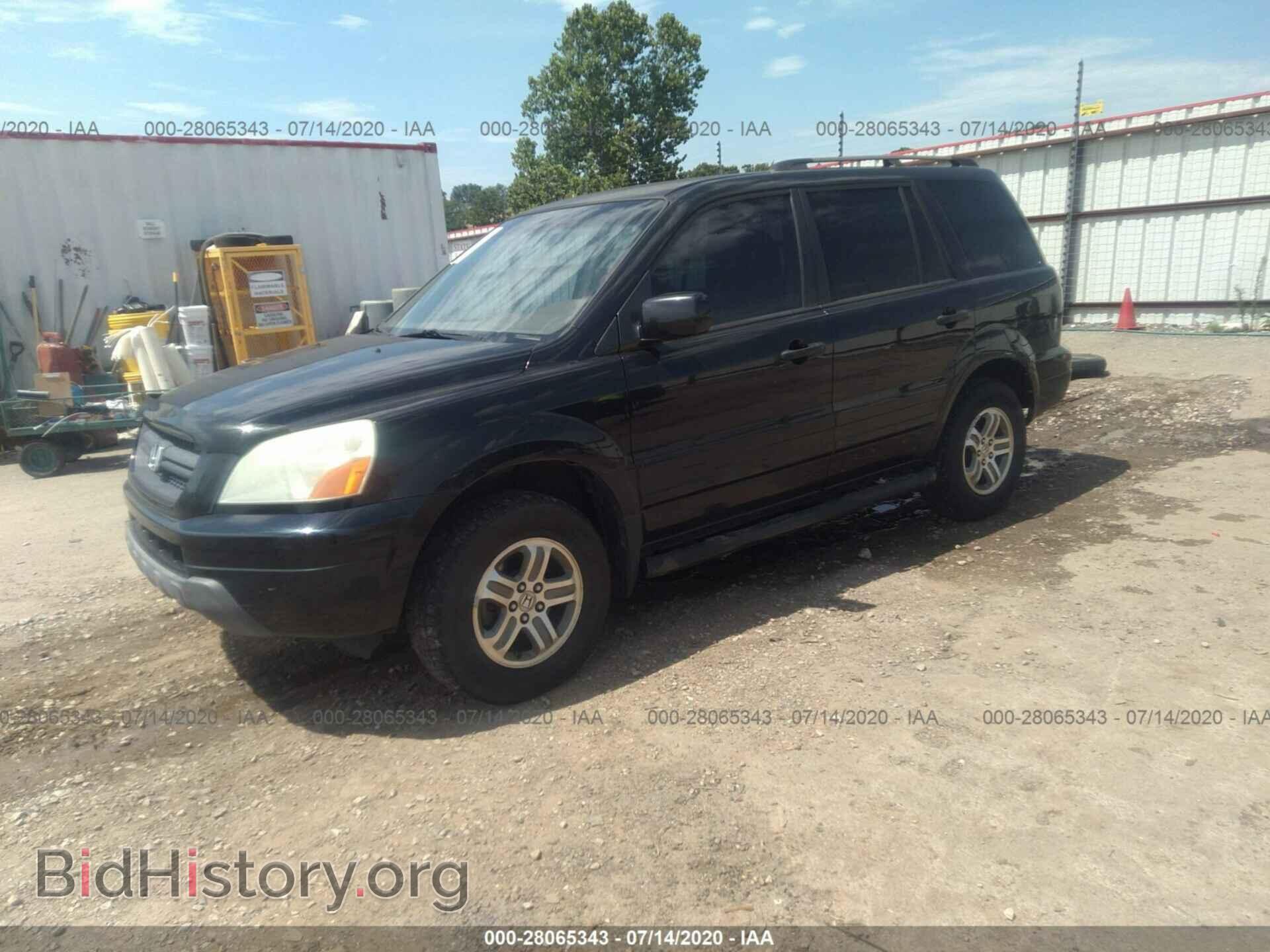 2005 Honda Pilot - VIN: 5FNYF18445B009338 - Фото 2