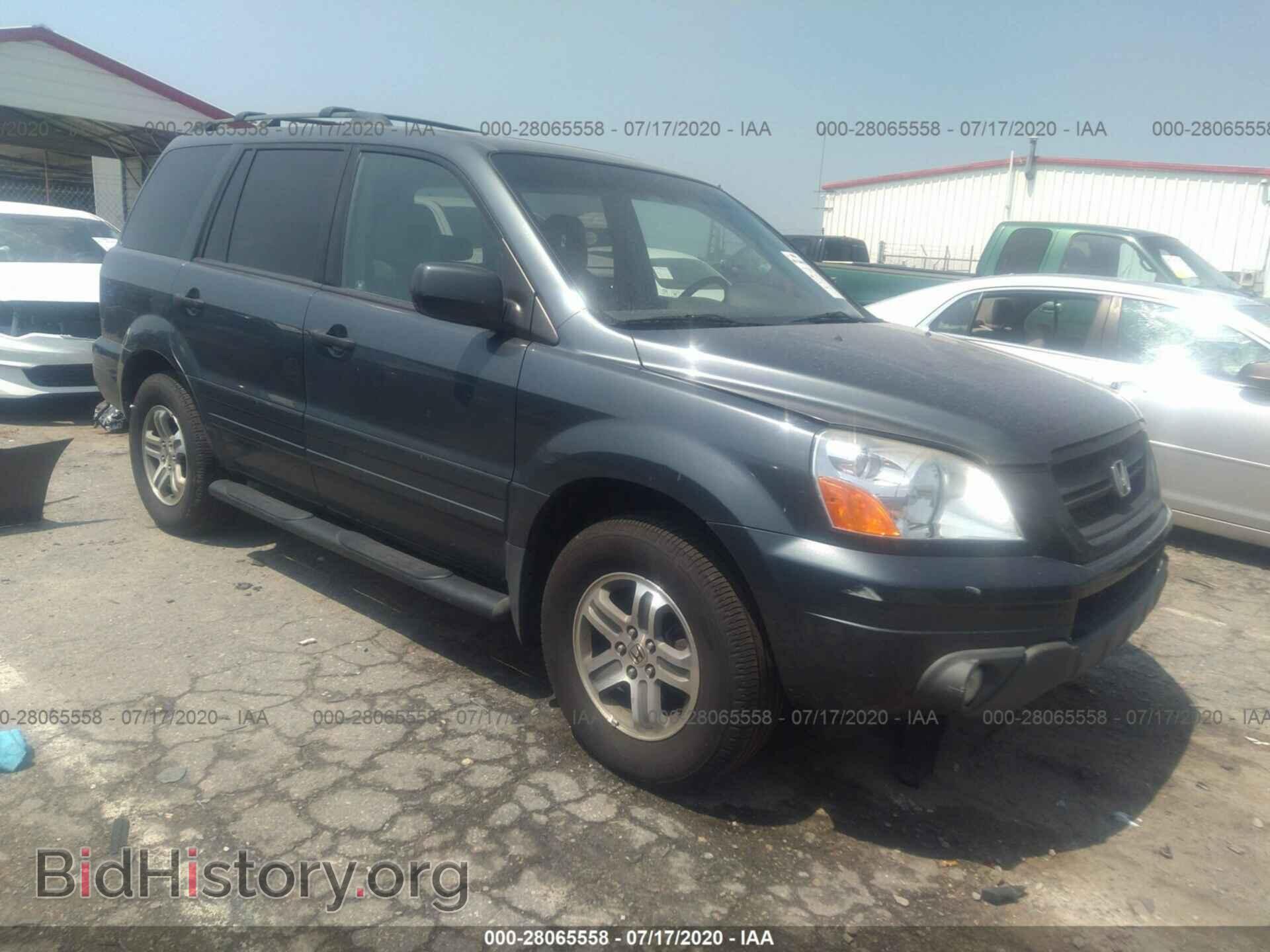 Photo 5FNYF18655B048408 - HONDA PILOT 2005