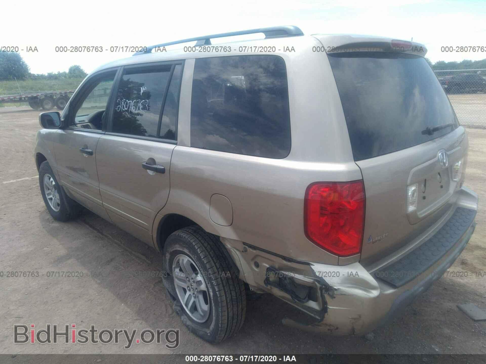 2005 HONDA PILOT - VIN: 2HKYF18625H553310 - Фото 3