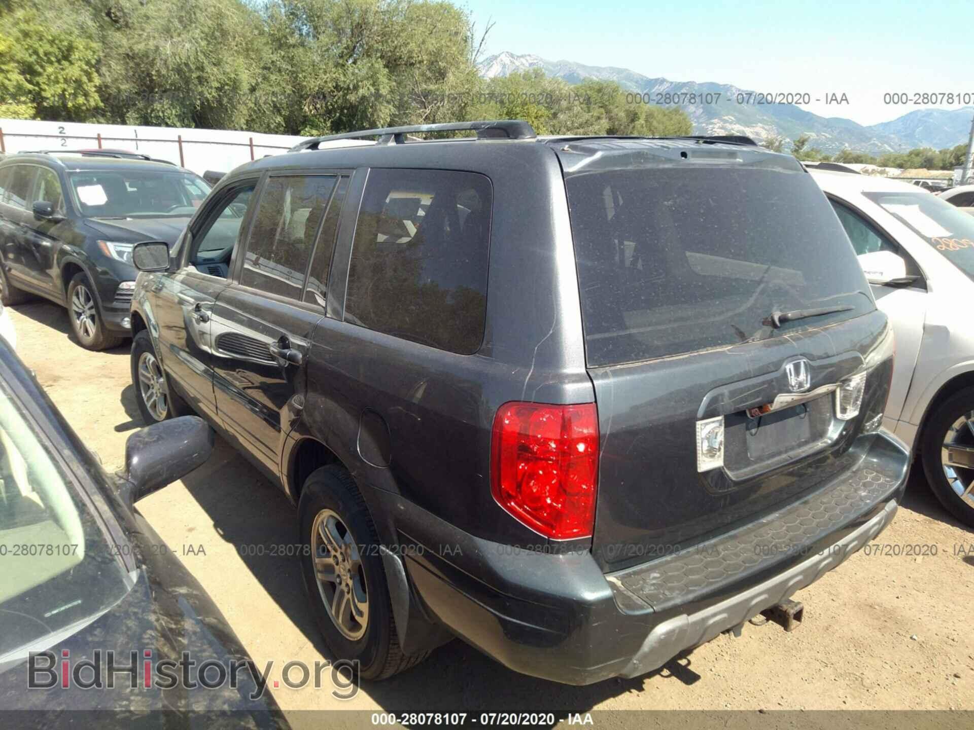 2005 HONDA PILOT - VIN: 2HKYF18615H512599 - Фото 3