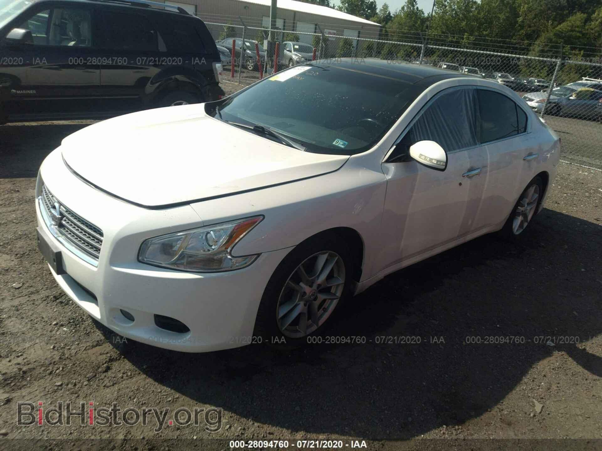2010 NISSAN MAXIMA - VIN: 1N4AA5AP1AC836464 - Фото 2