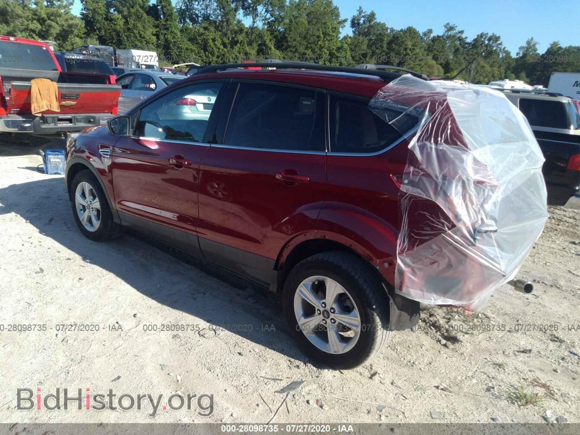 2013 FORD ESCAPE - VIN: 1FMCU0GX9DUC31235 - Фото 3