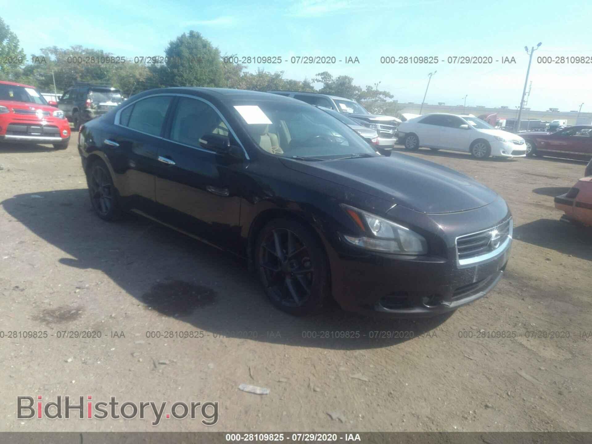 Фотография 1N4AA5AP6BC853116 - NISSAN MAXIMA 2011