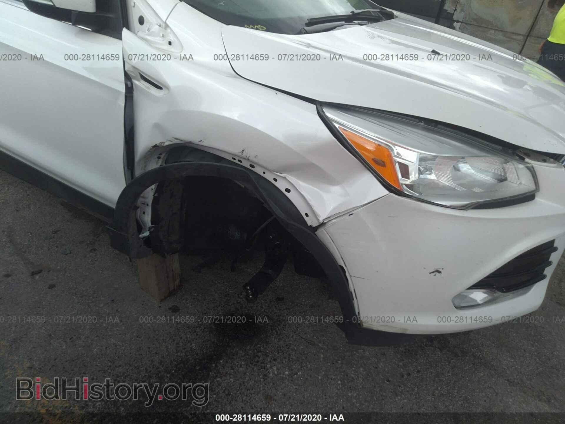 2013 FORD ESCAPE - VIN: 1FMCU0H93DUA05031 - Фото 6
