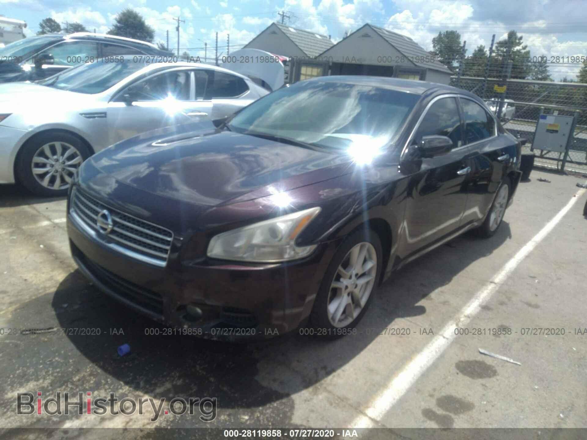 2011 NISSAN MAXIMA - VIN: 1N4AA5AP1BC845084 - Фото 2