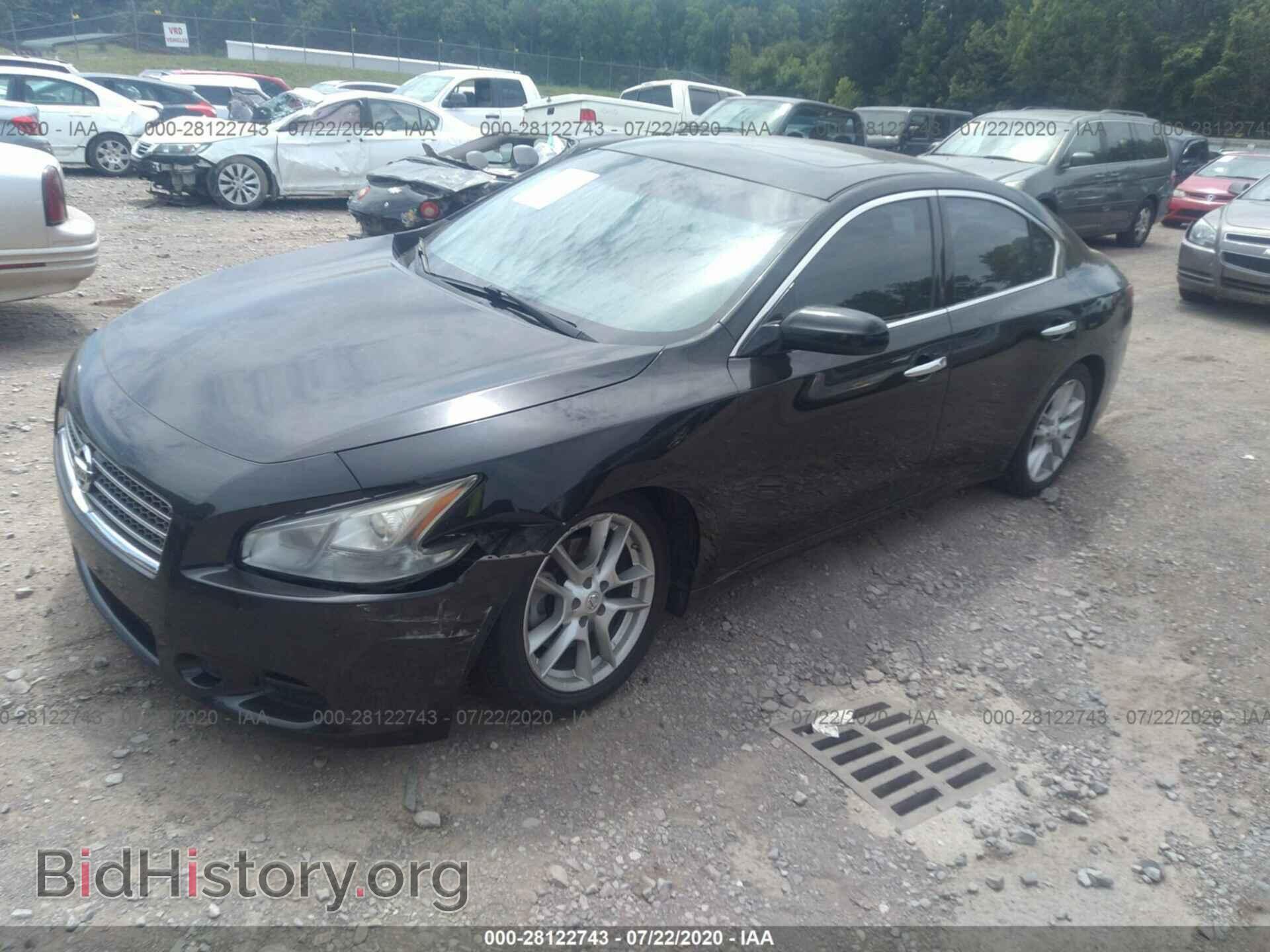 2009 NISSAN MAXIMA - VIN: 1N4AA51EX9C825019 - Фото 2