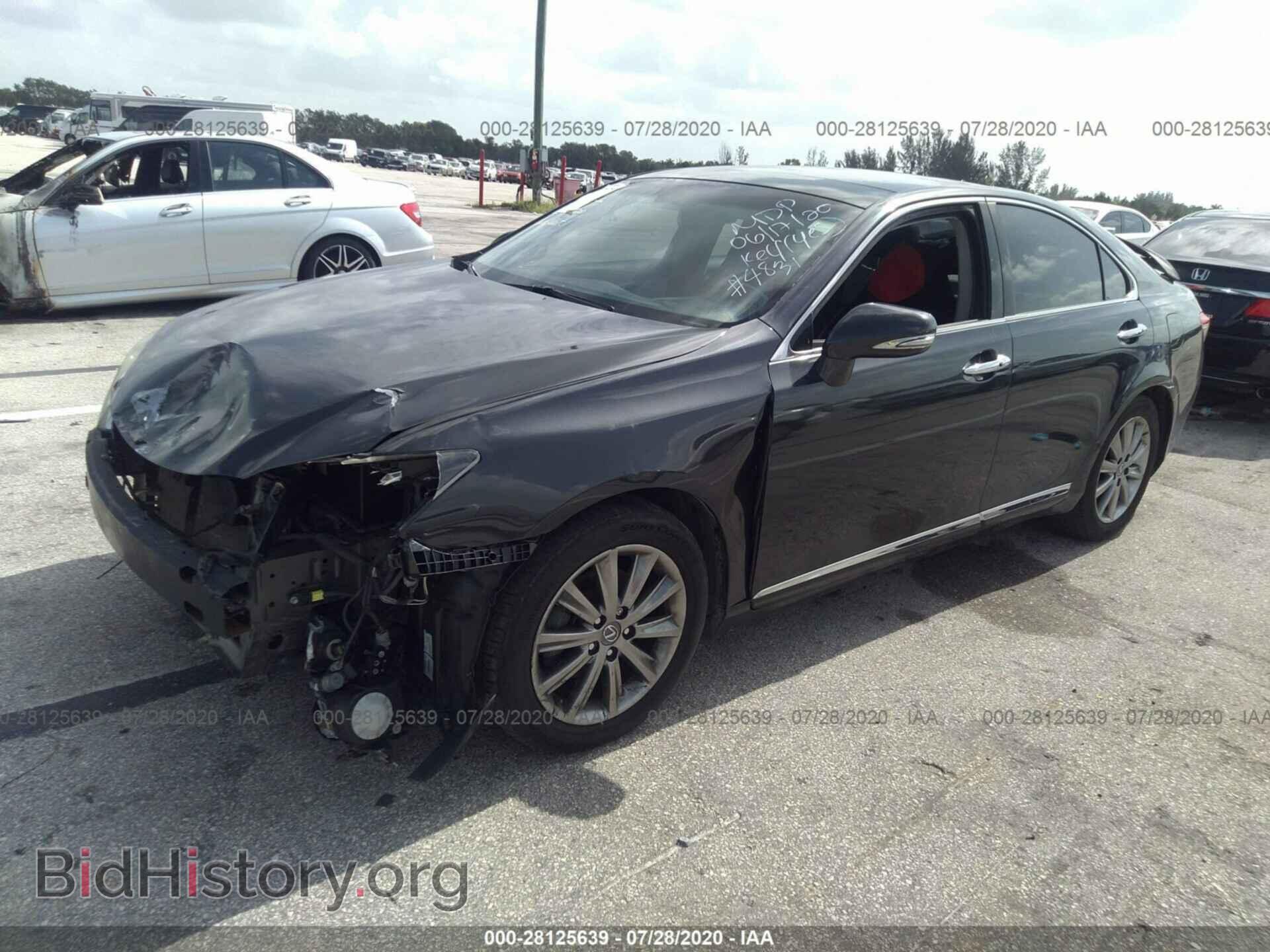 2010 LEXUS ES 350 - VIN: JTHBK1EG3A2344831 - Фото 2