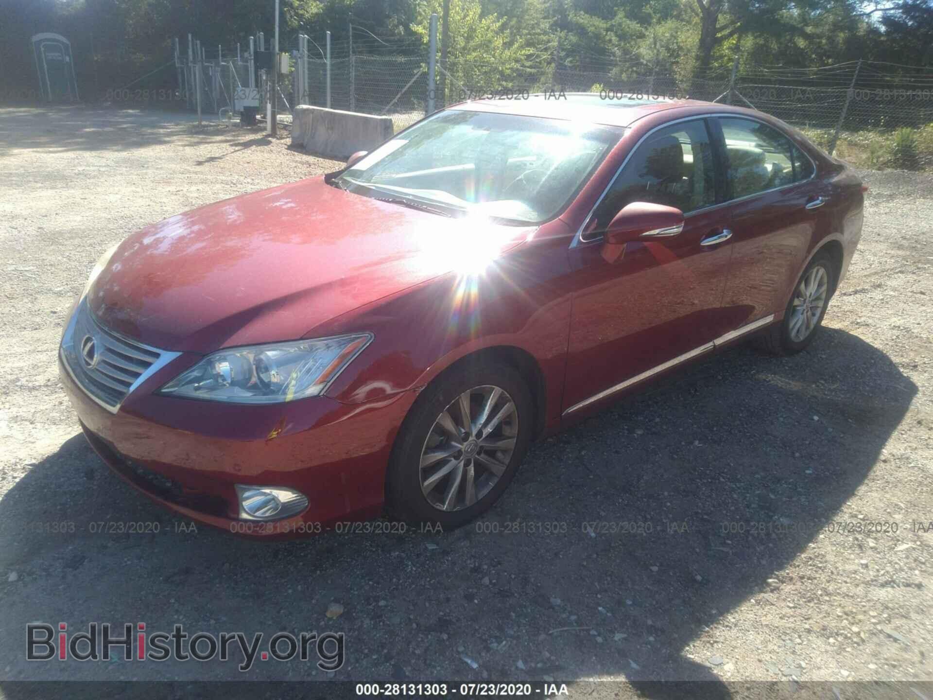 2010 LEXUS ES 350 - VIN: JTHBK1EG8A2346557 - Фото 2