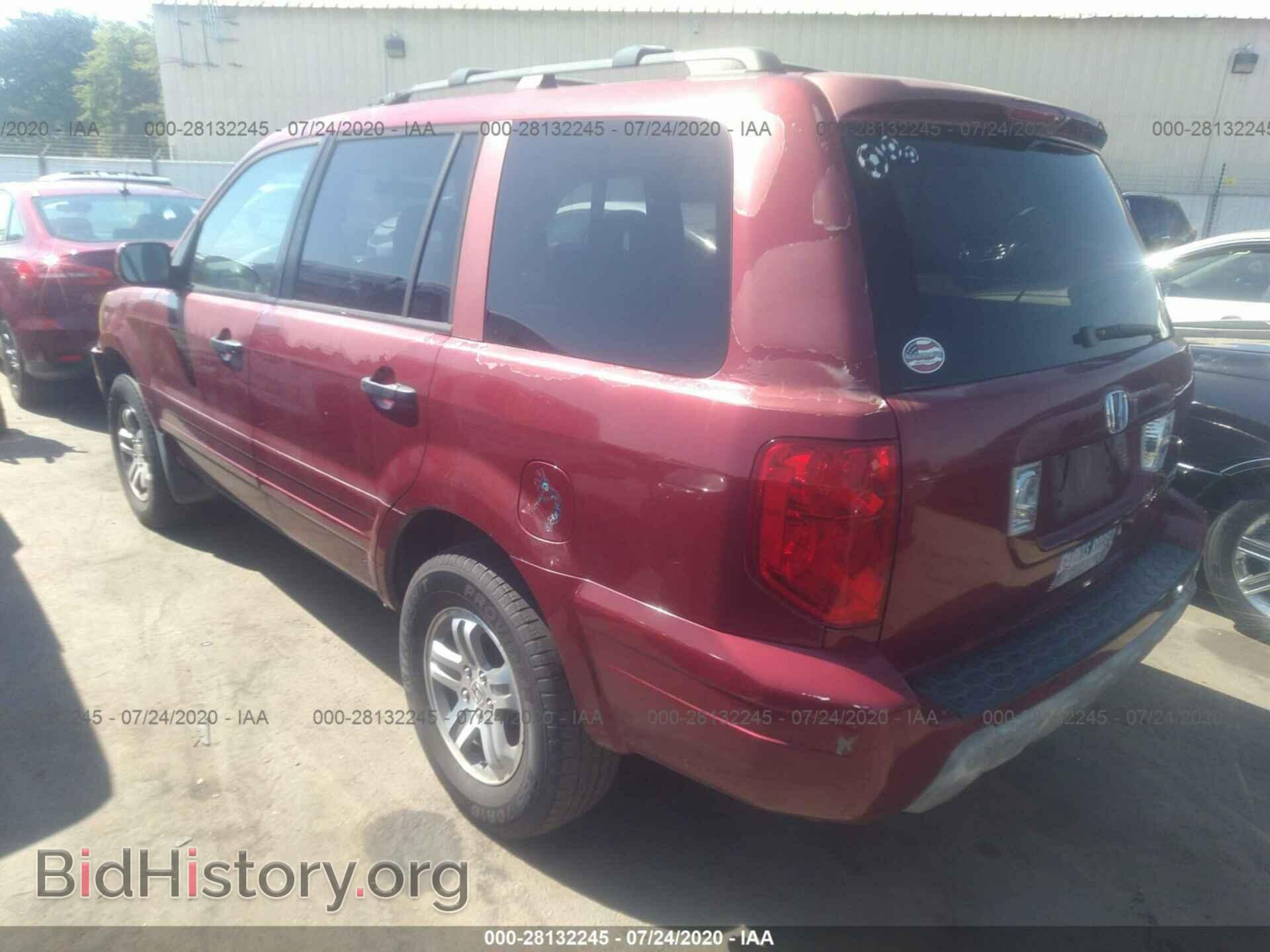 2005 HONDA PILOT - VIN: 2HKYF18615H553587 - Фото 3