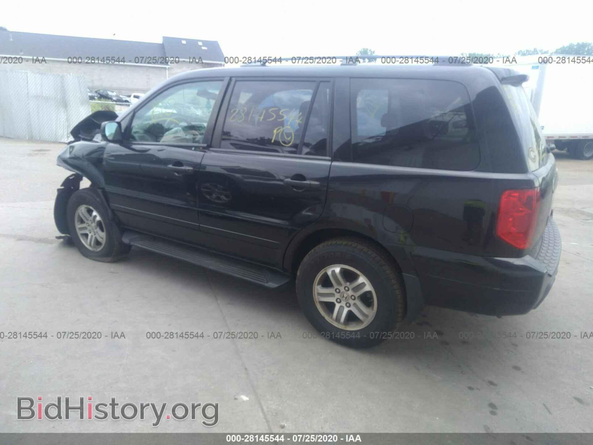 2005 HONDA PILOT - VIN: 5FNYF18555B018462 - Фото 3