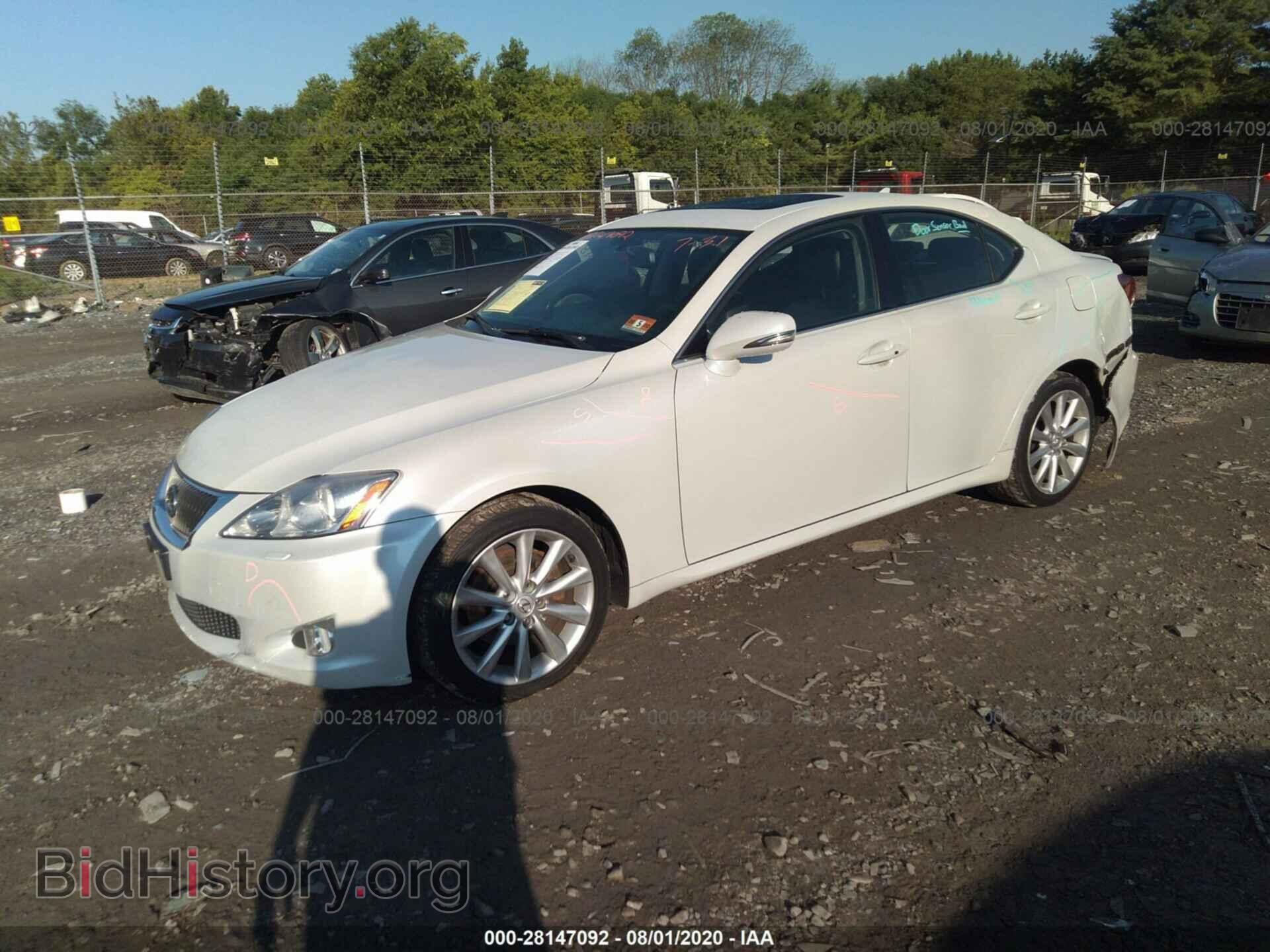 2010 LEXUS IS 250 - VIN: JTHCF5C23A2034704 - Фото 2