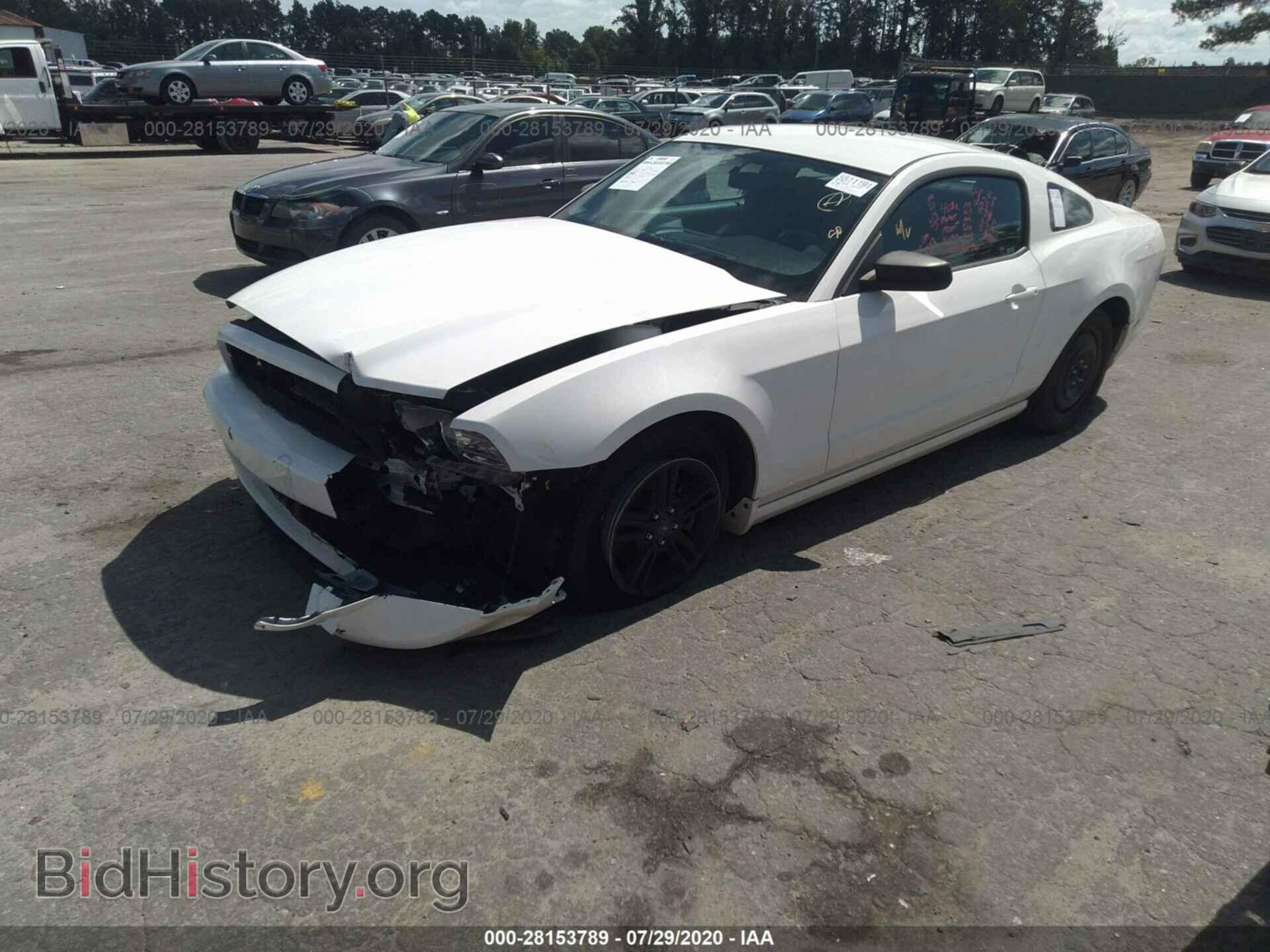2013 FORD MUSTANG - VIN: 1ZVBP8AM7D5228166 - Фото 2