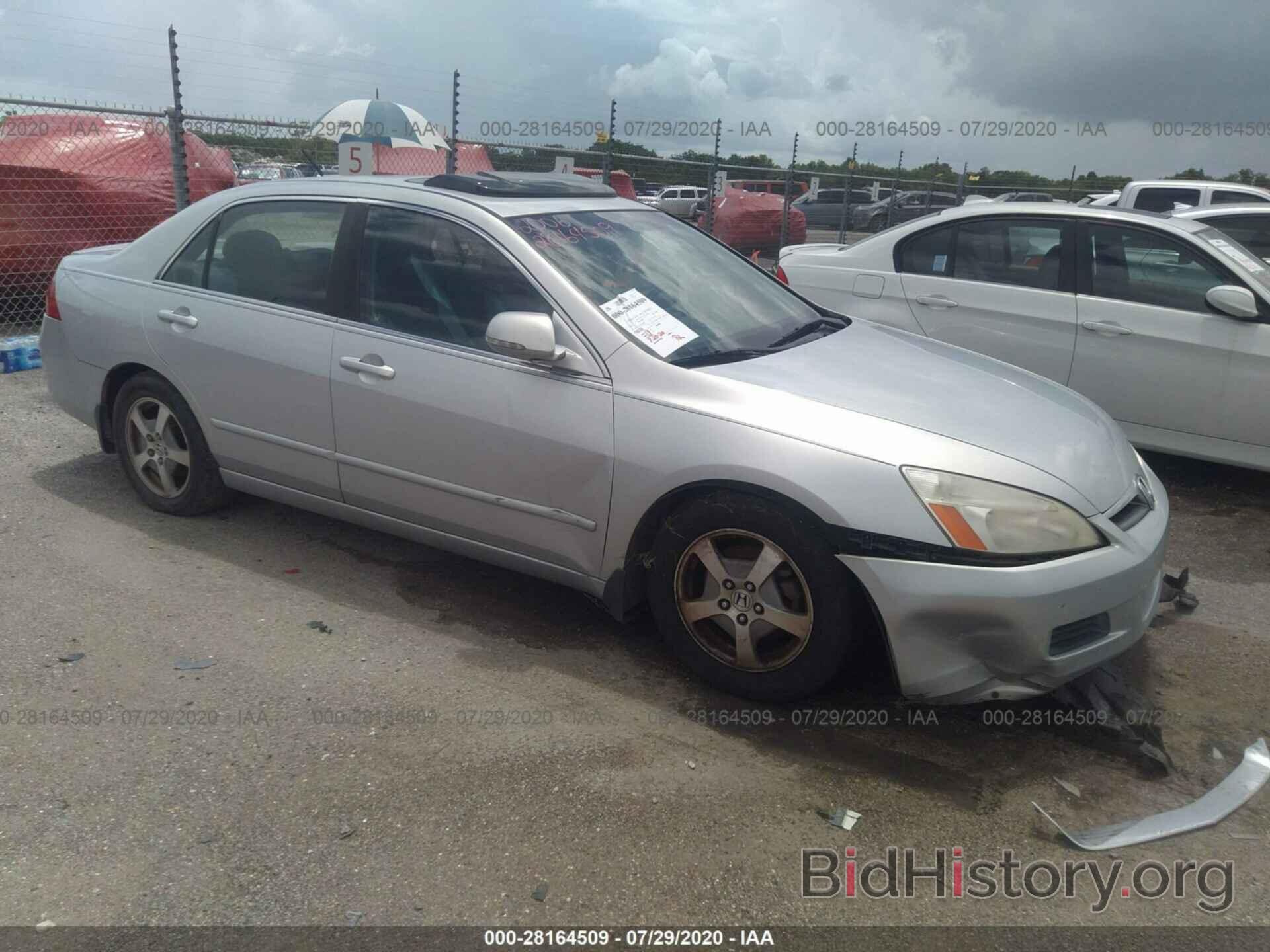 Photo JHMCN36426C000484 - HONDA ACCORD HYBRID 2006