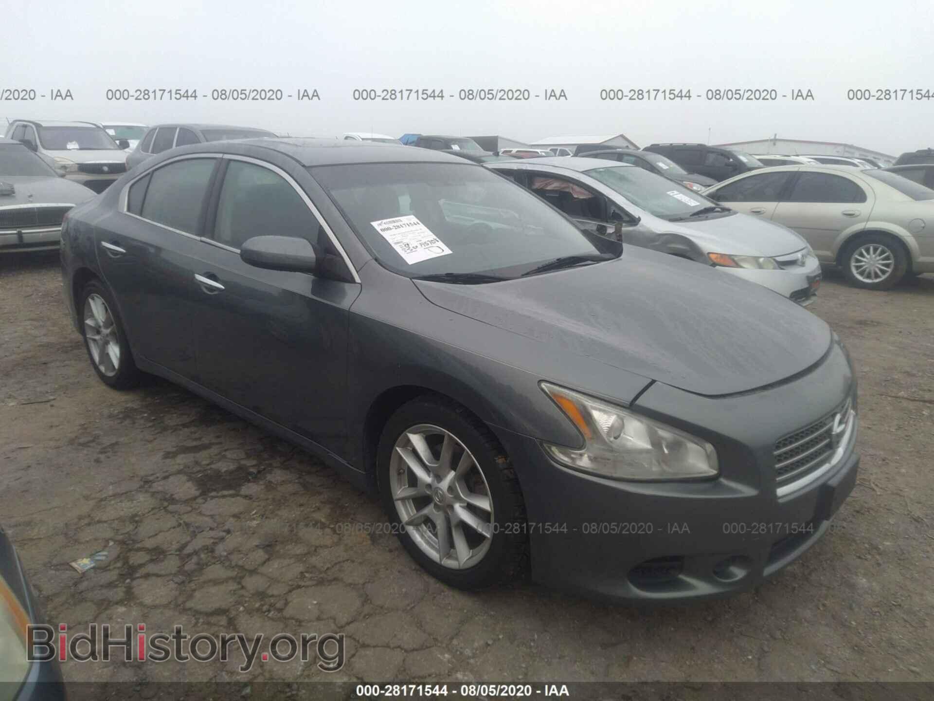 Фотография 1N4AA51E29C832062 - NISSAN MAXIMA 2009