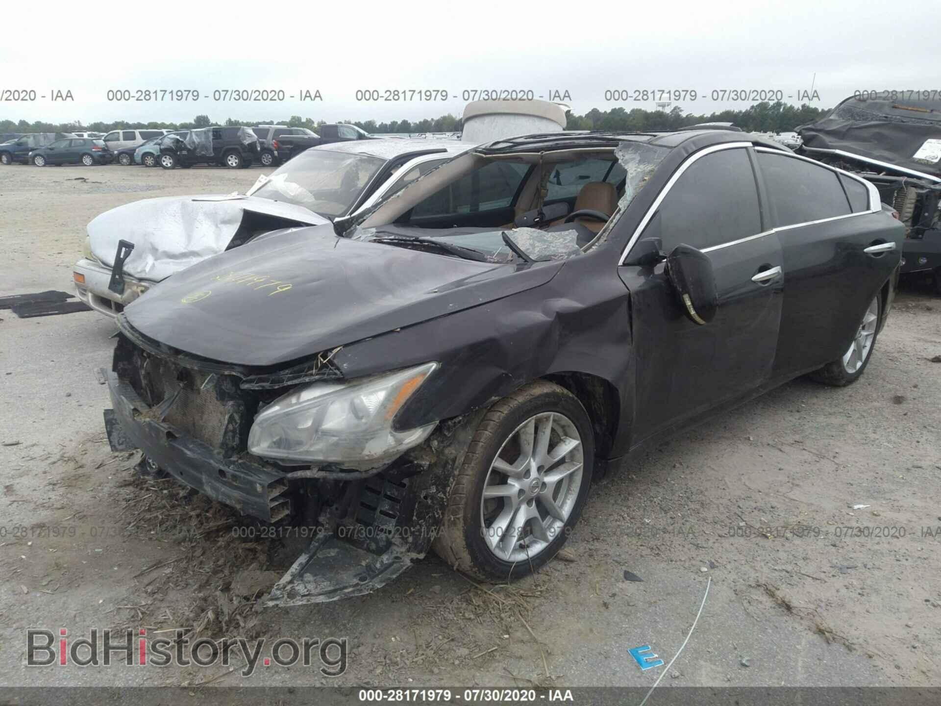 2010 NISSAN MAXIMA - VIN: 1N4AA5AP0AC822006 - Фото 2