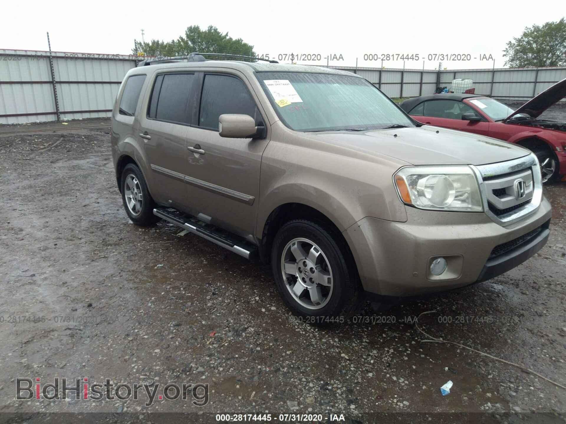 Фотография 5FNYF3H96BB021168 - HONDA PILOT 2011