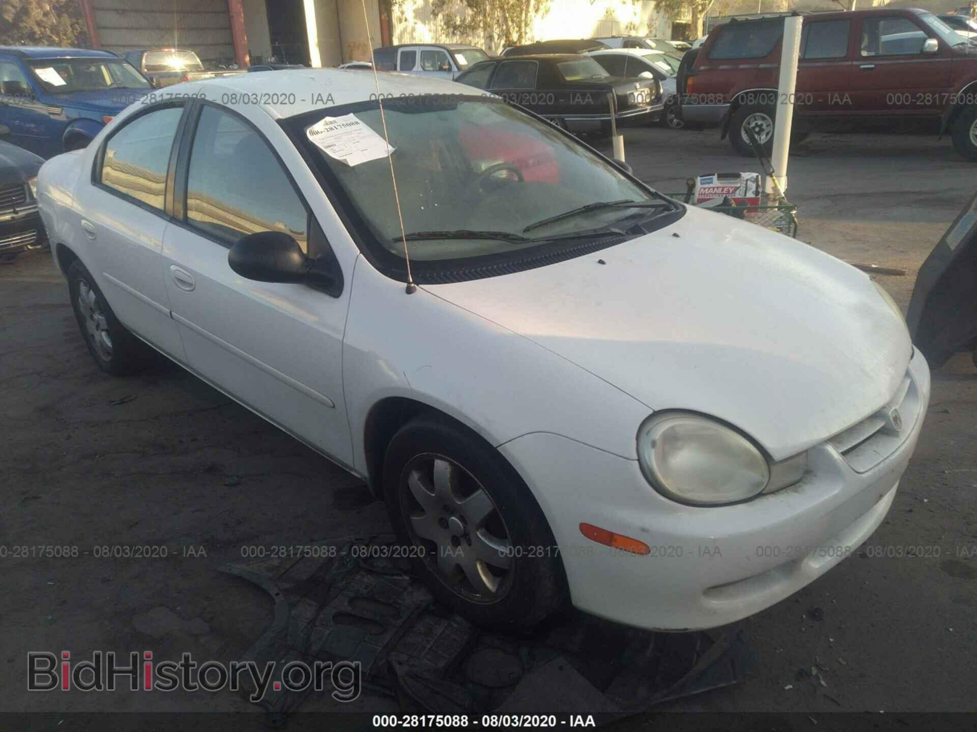 Photo 1B3ES46C72D607910 - DODGE NEON 2002