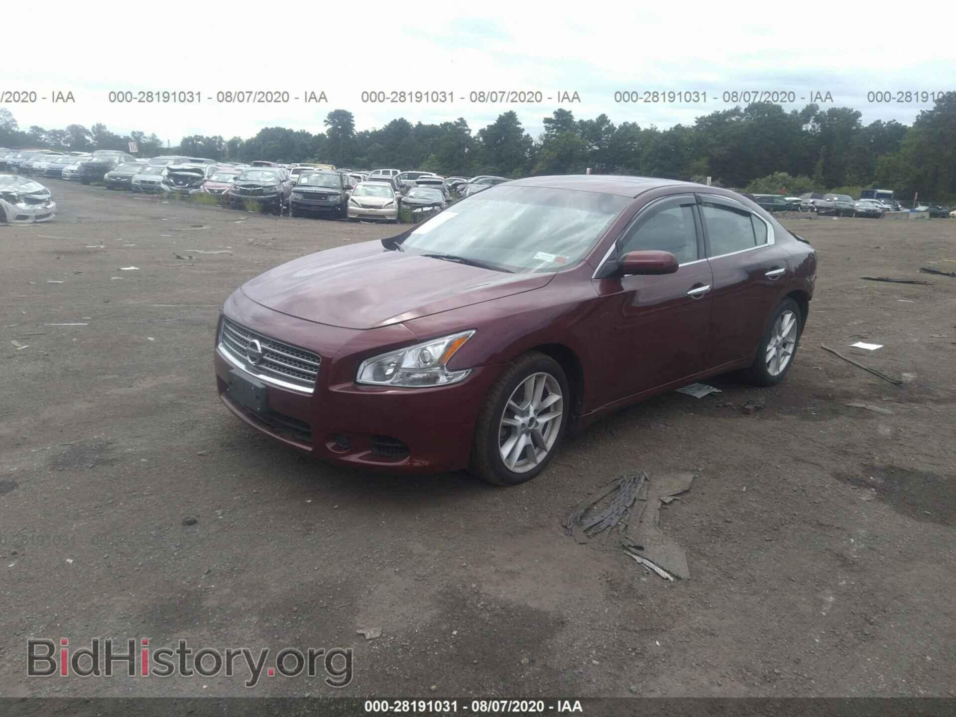 2009 NISSAN MAXIMA - VIN: 1N4AA51E29C826536 - Фото 2