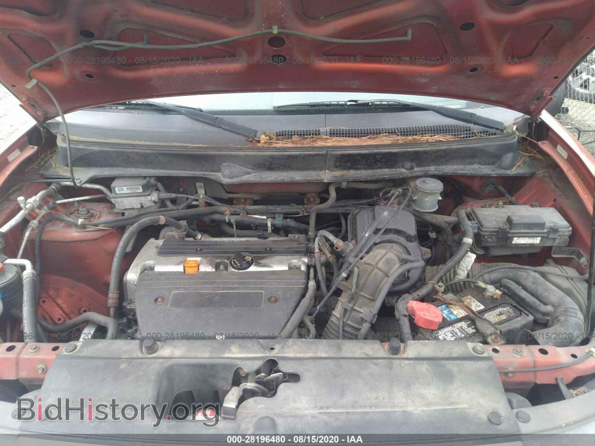 2005 HONDA ELEMENT - VIN: 5J6YH18325L016474 - Фото 10