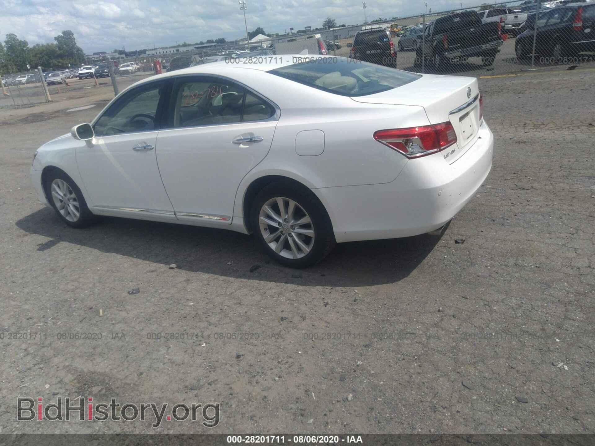2010 LEXUS ES 350 - VIN: JTHBK1EG1A2379142 - Фото 3