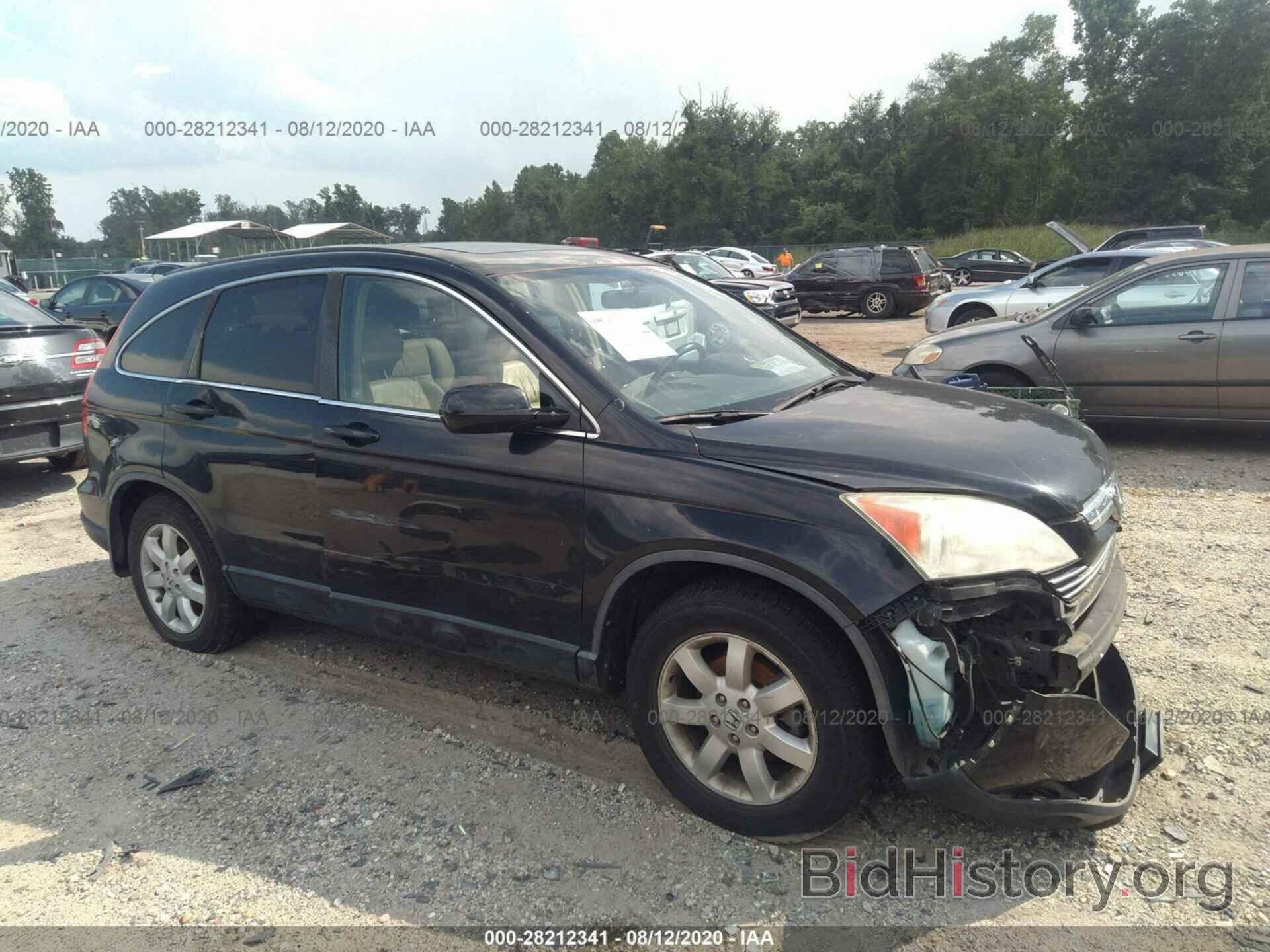 Photo 5J6RE48797L010255 - HONDA CR-V 2007