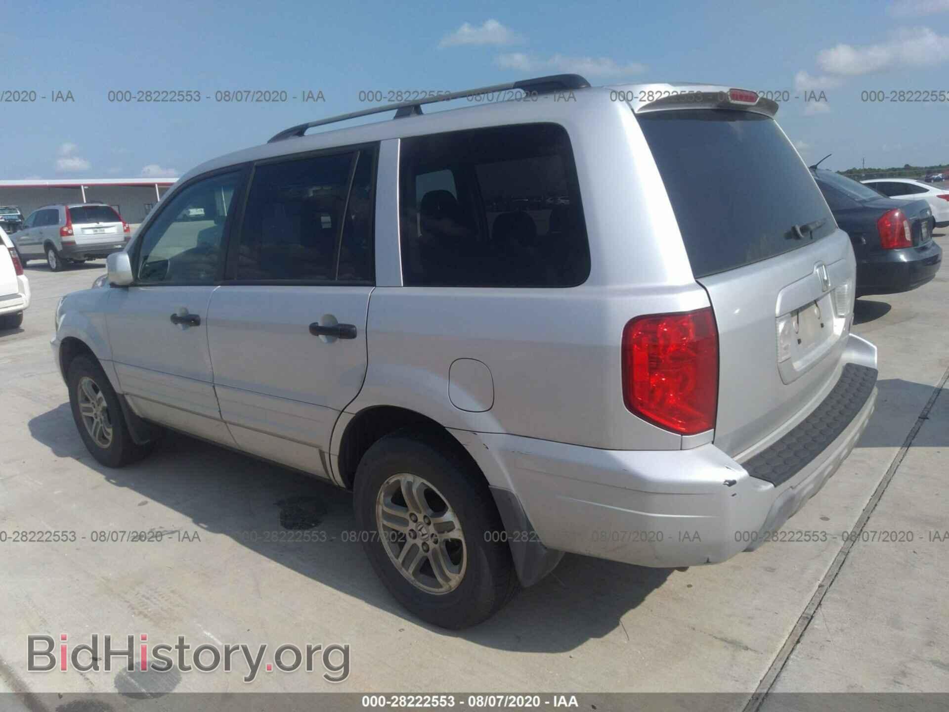 2005 HONDA PILOT - VIN: 5FNYF18565B024190 - Фото 3