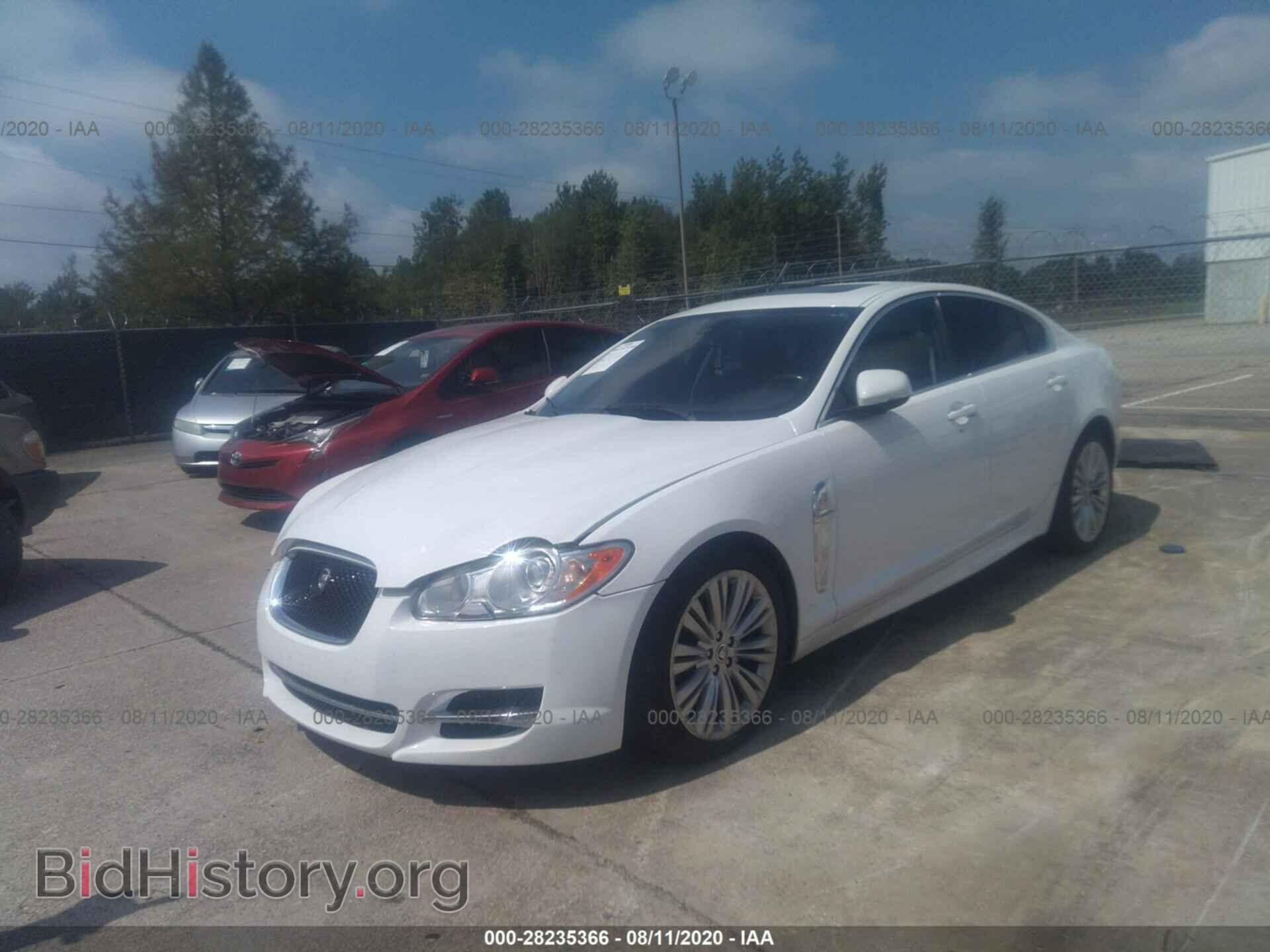 2011 JAGUAR XF - VIN: SAJWA0FB6BLS18558 - Фото 2