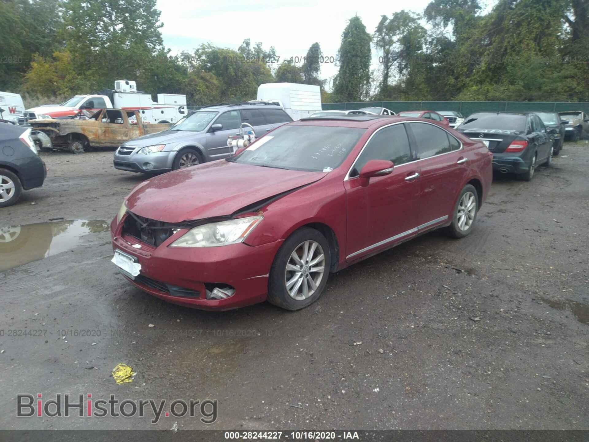2011 LEXUS ES 350 - VIN: JTHBK1EG8B2445137 - Фото 2