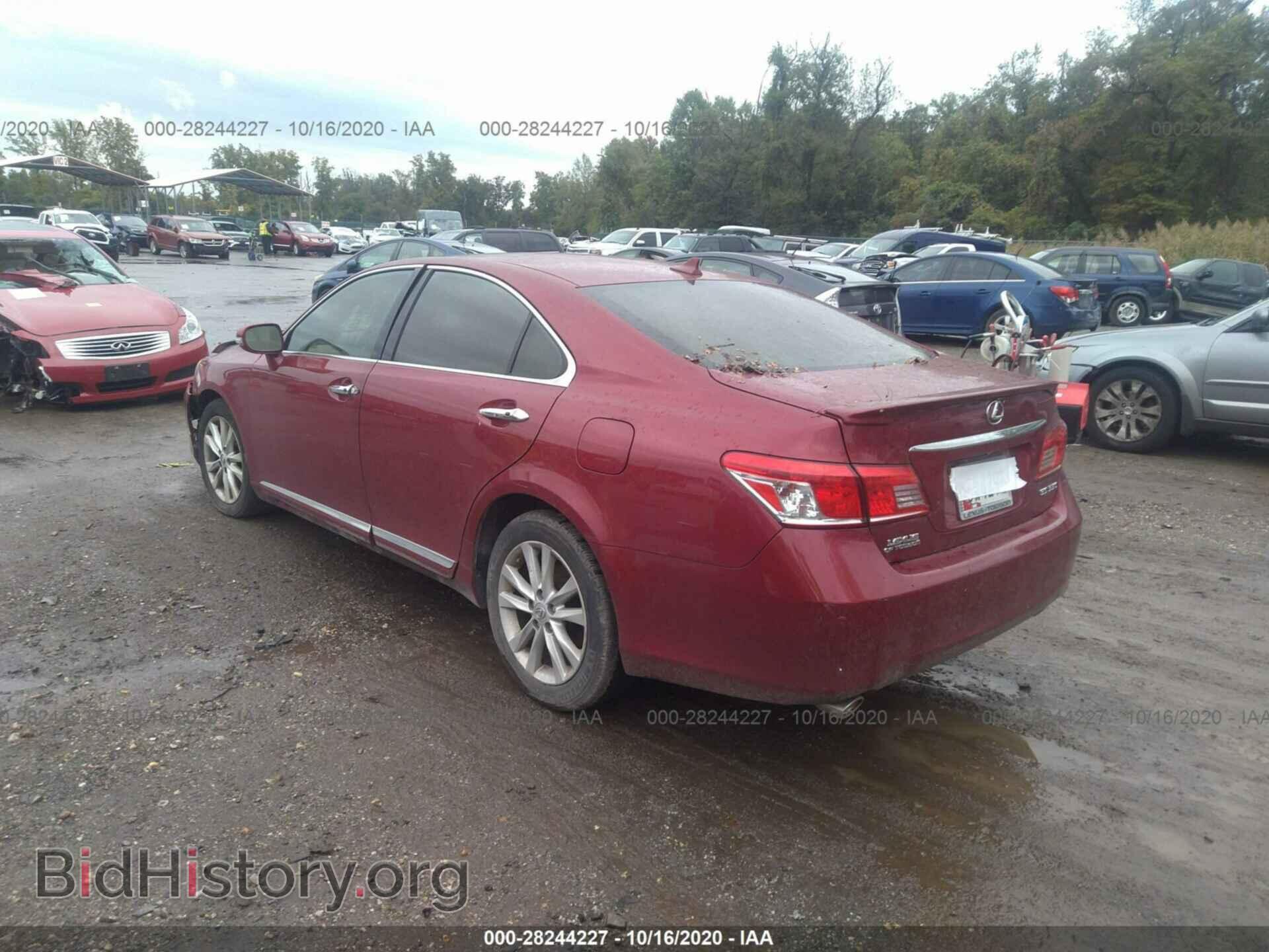 2011 LEXUS ES 350 - VIN: JTHBK1EG8B2445137 - Фото 3