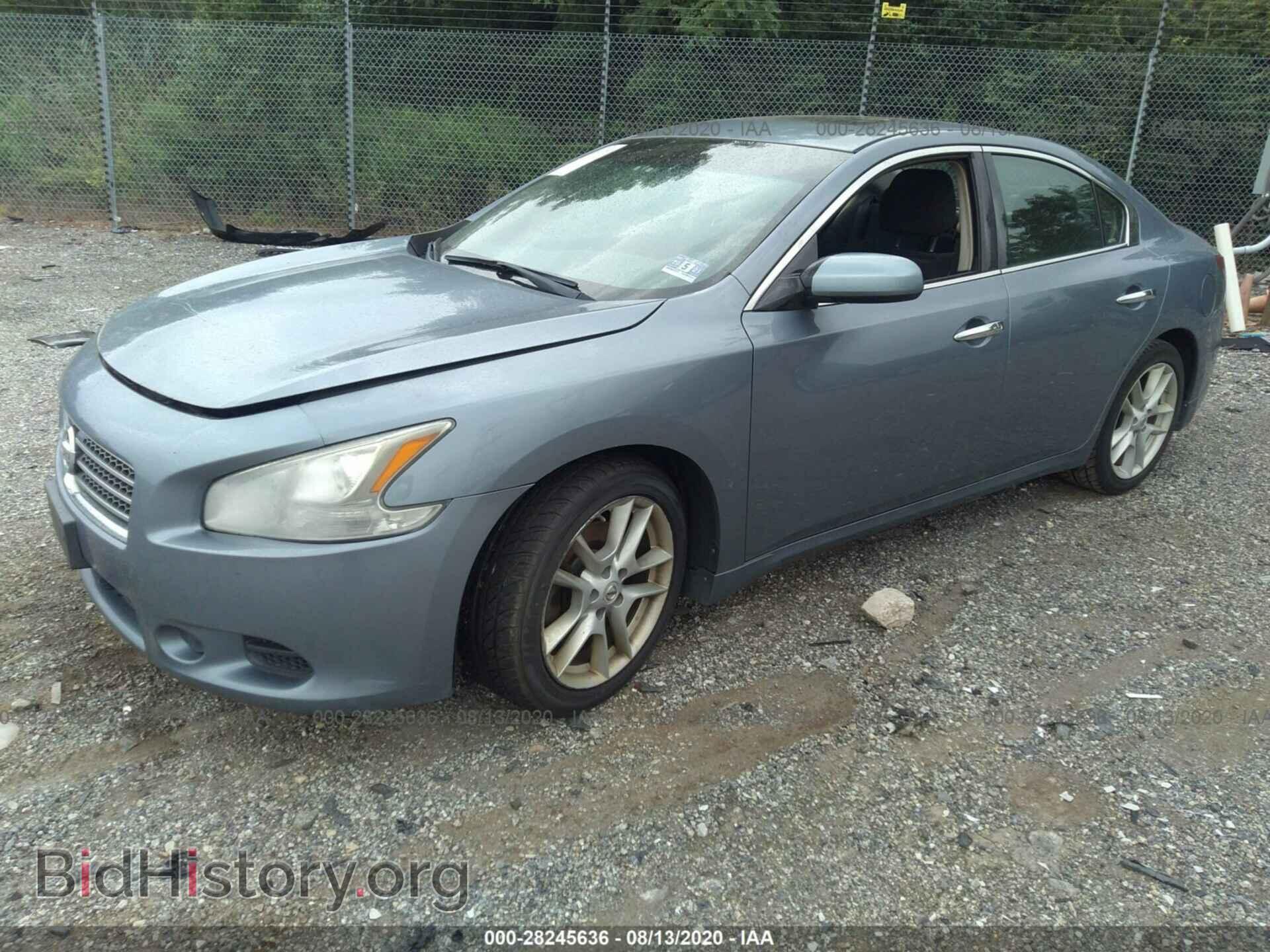 2010 NISSAN MAXIMA - VIN: 1N4AA5AP1AC855502 - Фото 2
