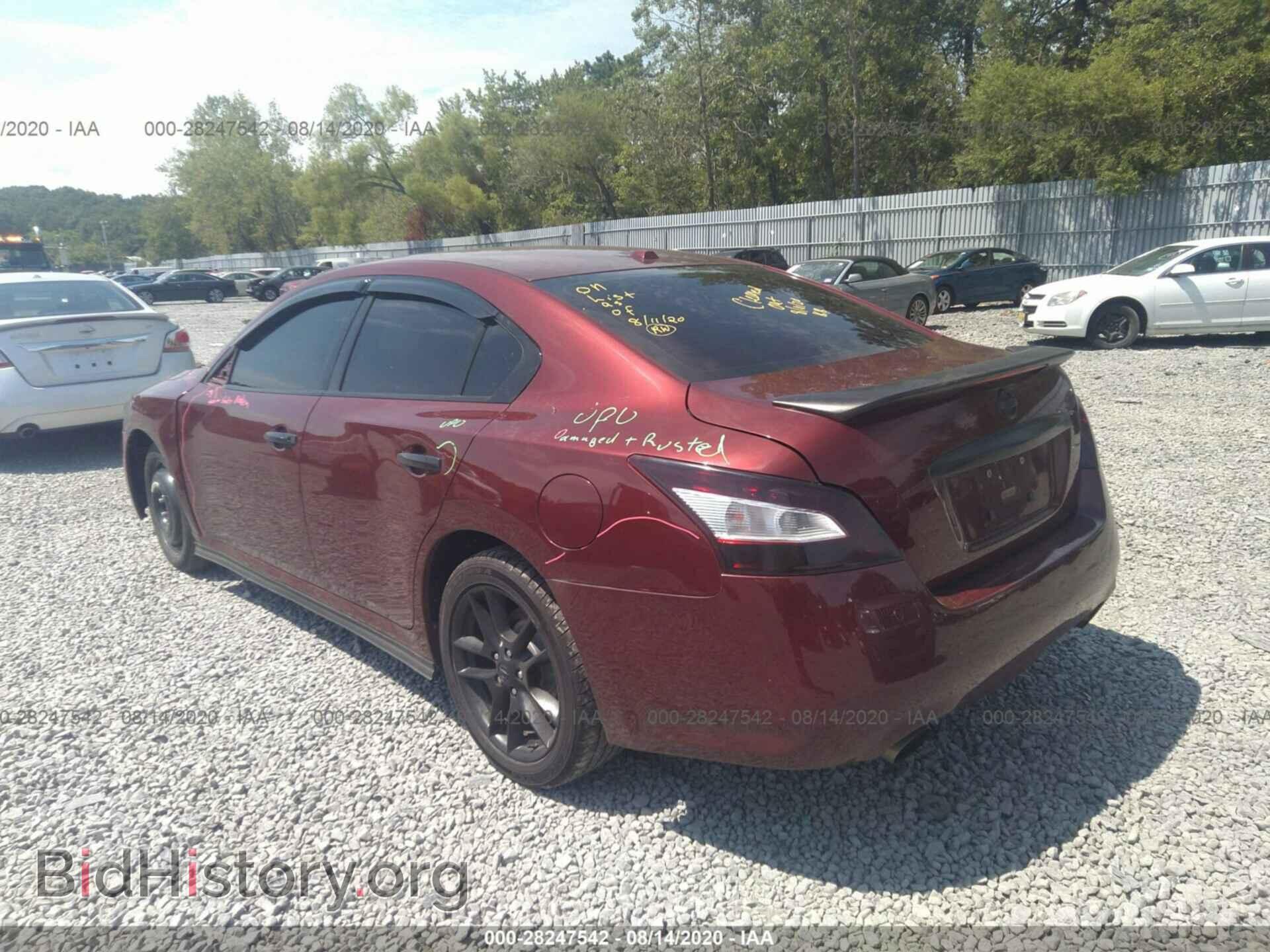 2009 NISSAN MAXIMA - VIN: 1N4AA51E79C819484 - Фото 3